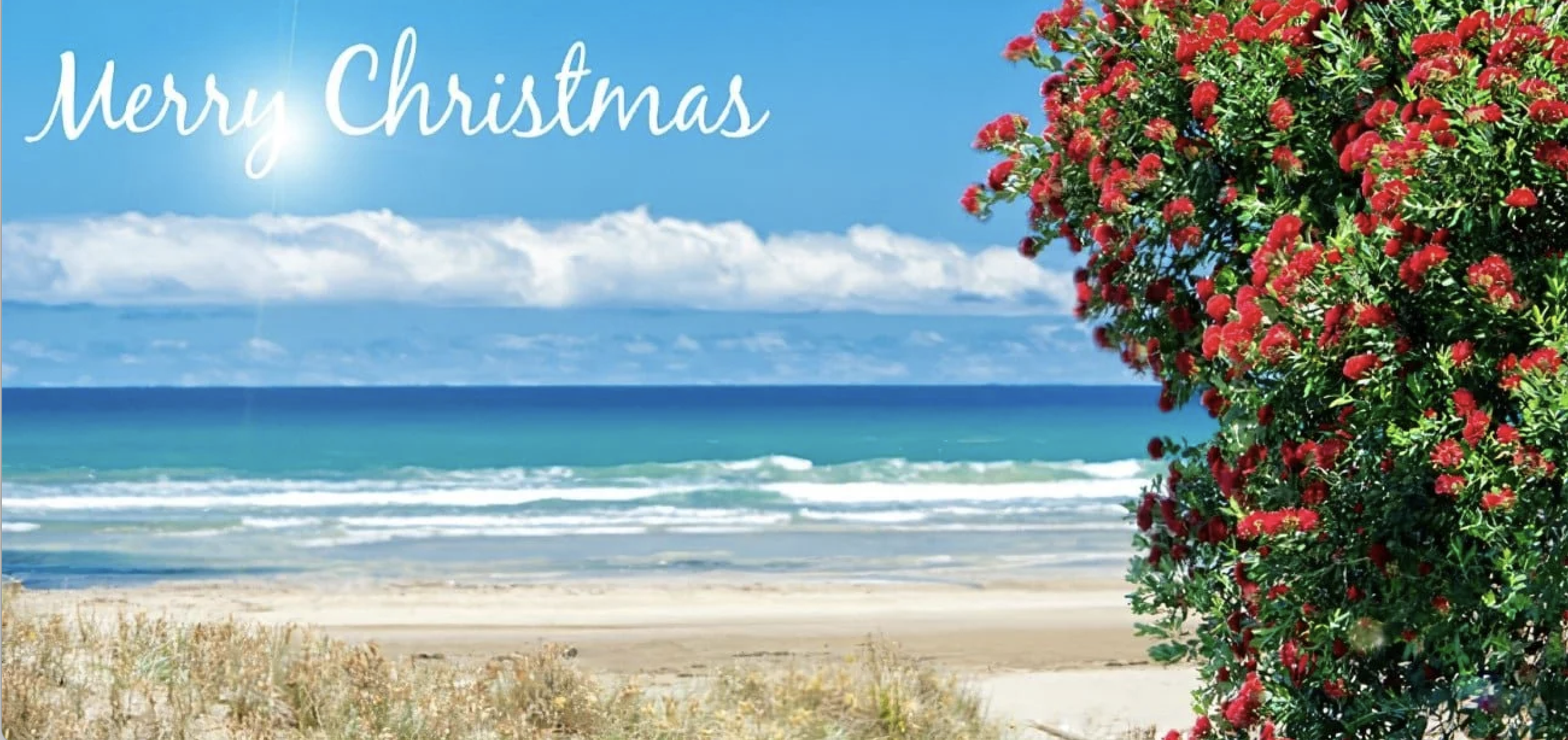 A Christmas Message of Gratitude and Hope