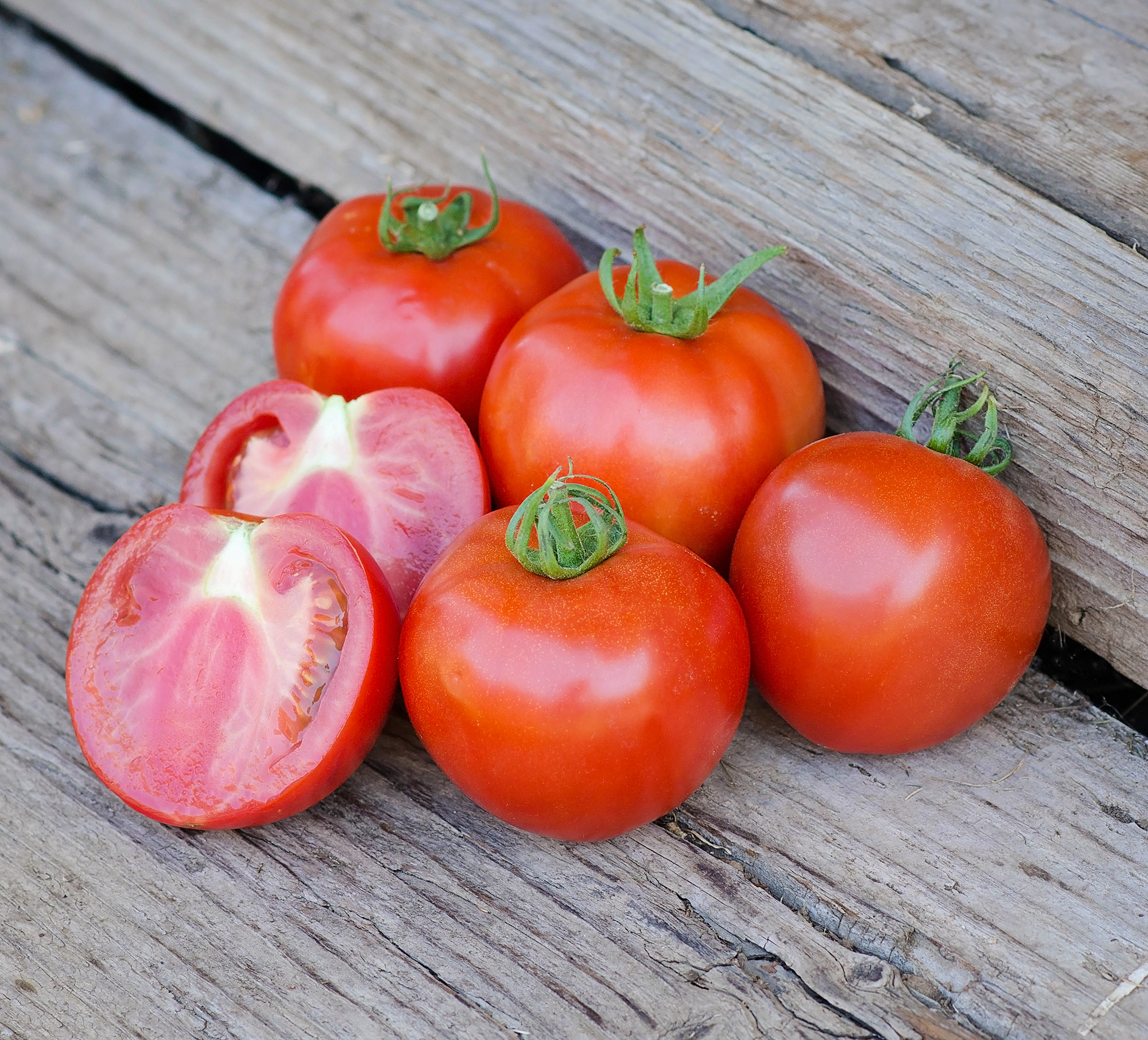 Quali T 23 Tomato