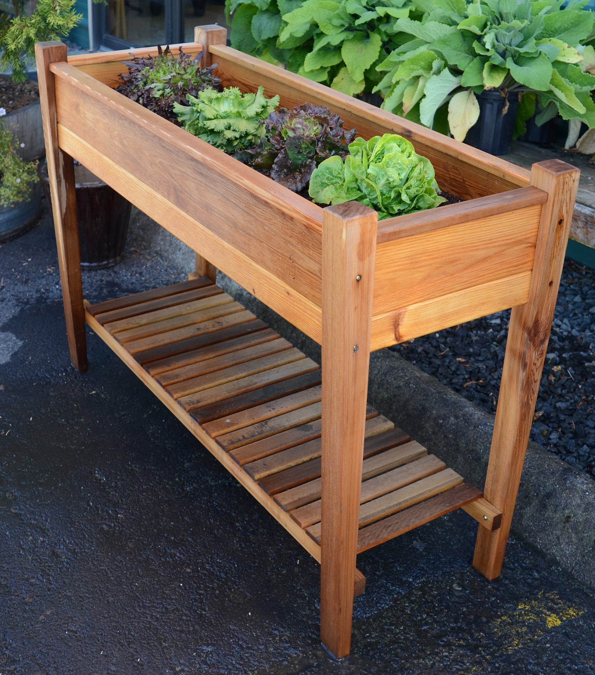EZ Elevated Garden