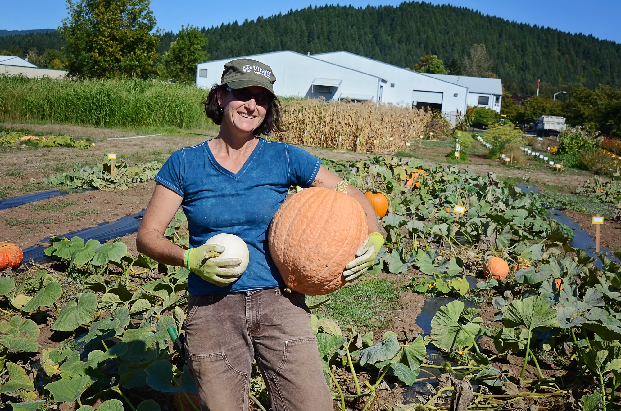 Andrea-evaluating-pumpkins-9-23-15.jpg