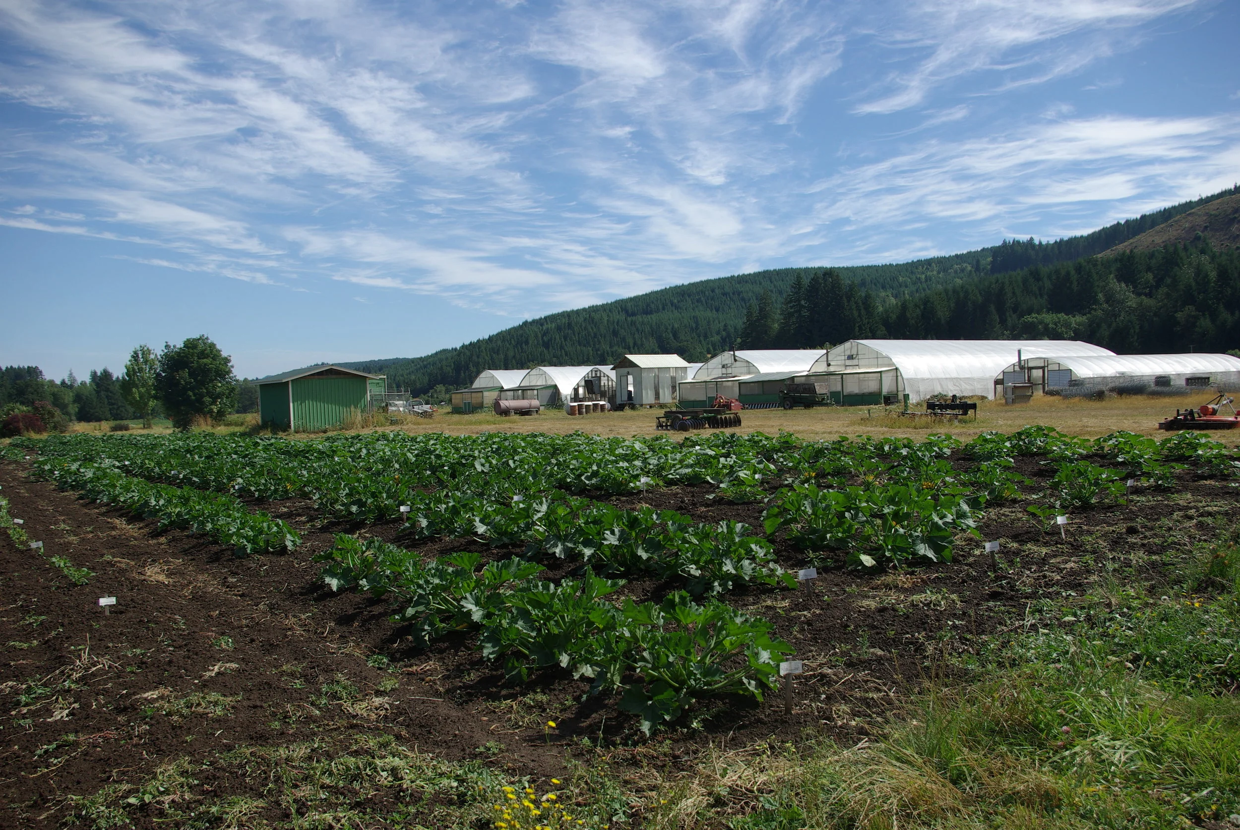 London Spring Farms: Territorial's research and plant production facility