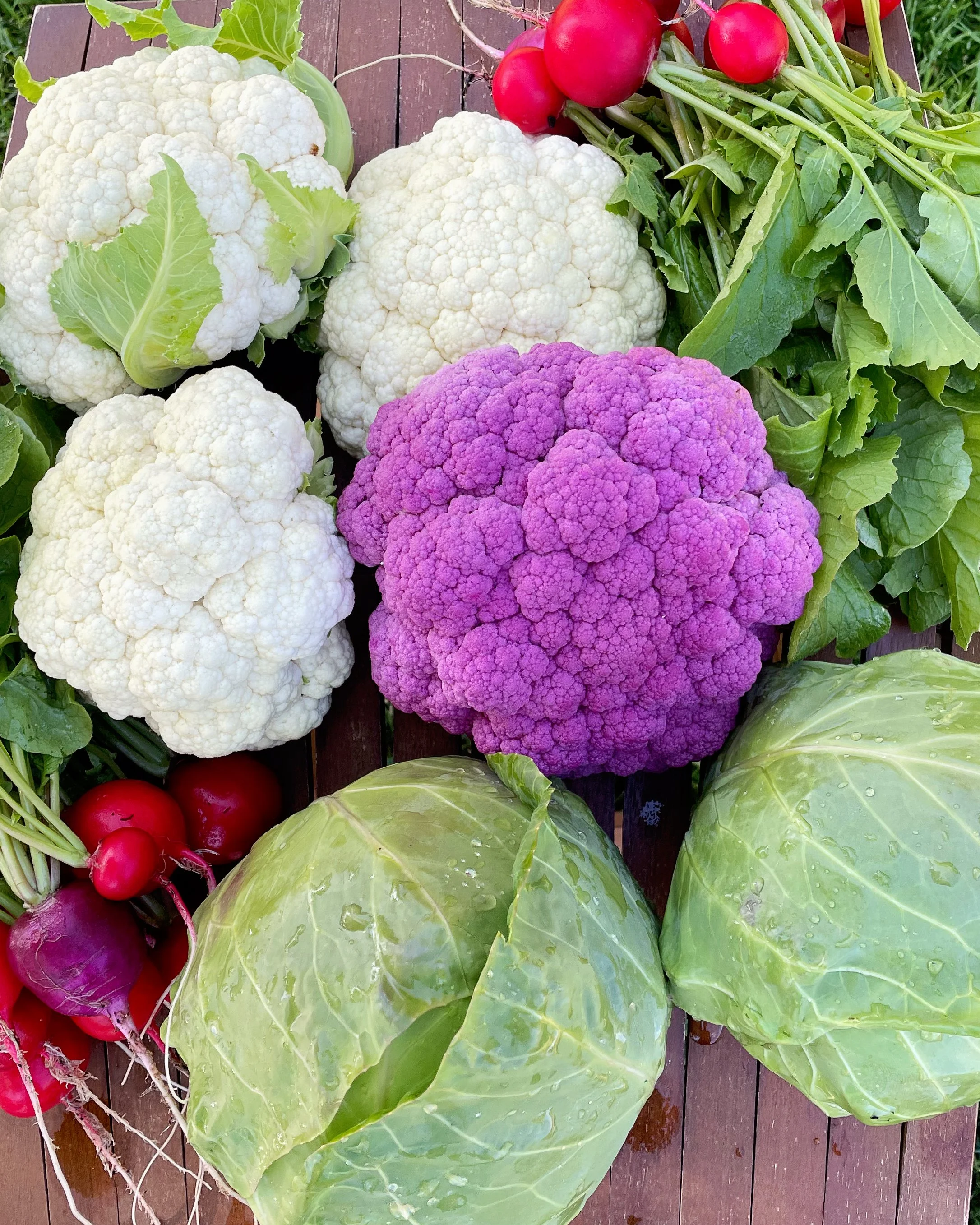 10 Crops to Sow in July