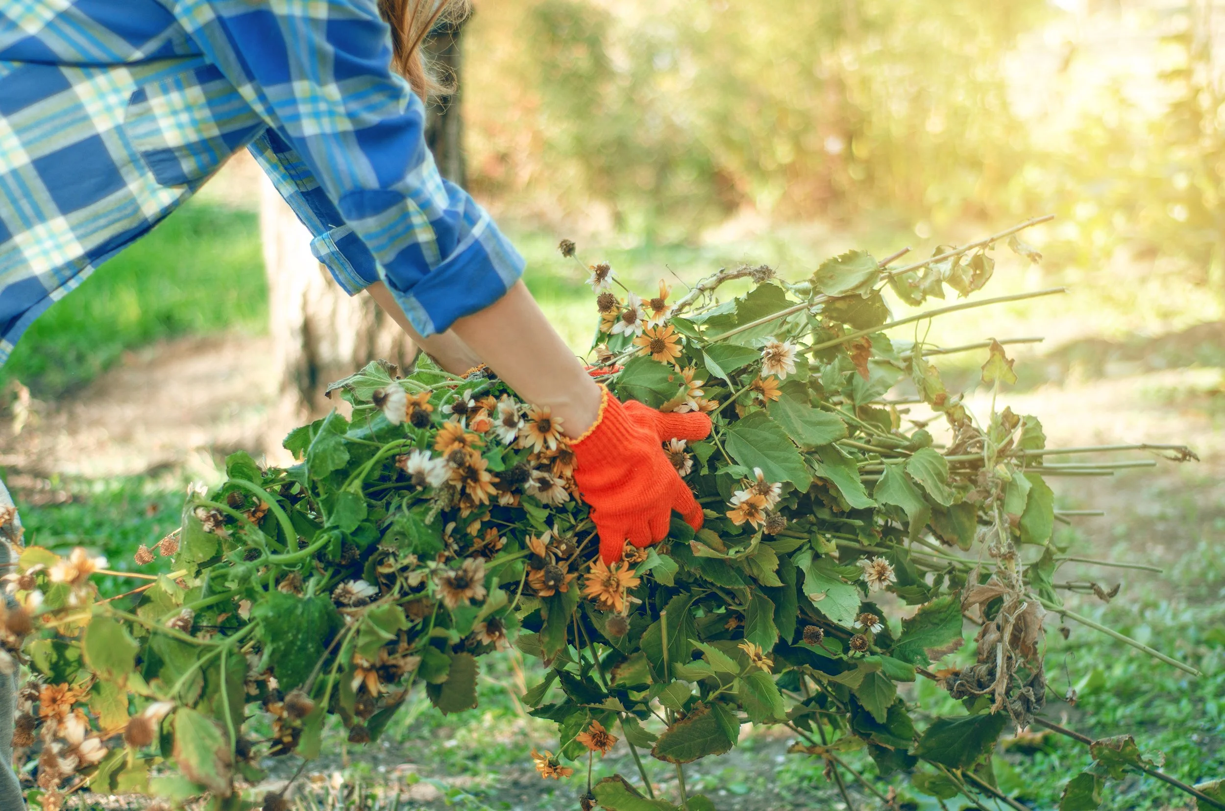 Fall Garden Clean Up