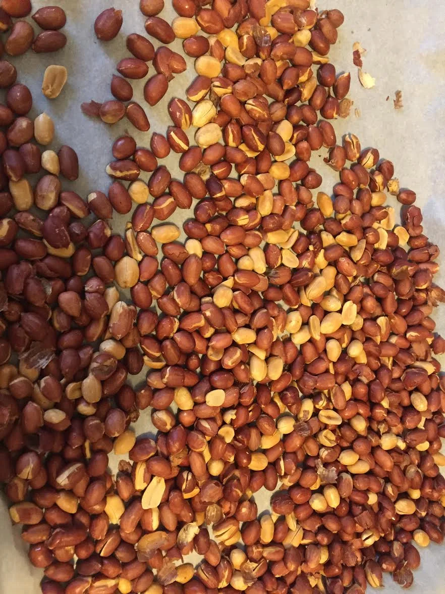 Raw Spanish peanuts roasted plain in the oven at 350 degrees 7-10 minutes