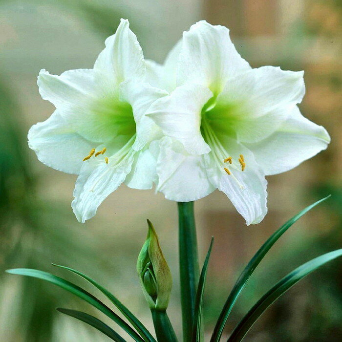 4DF14DAA-878C-4B77-853D-E27FBAC7E0E4