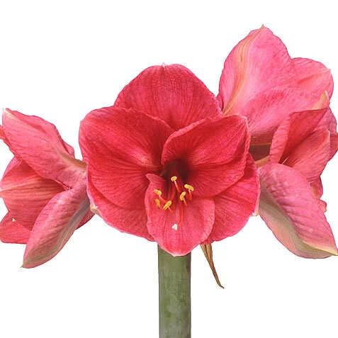 4C98FB43-005E-4D8A-BDF5-E212BC6DE438