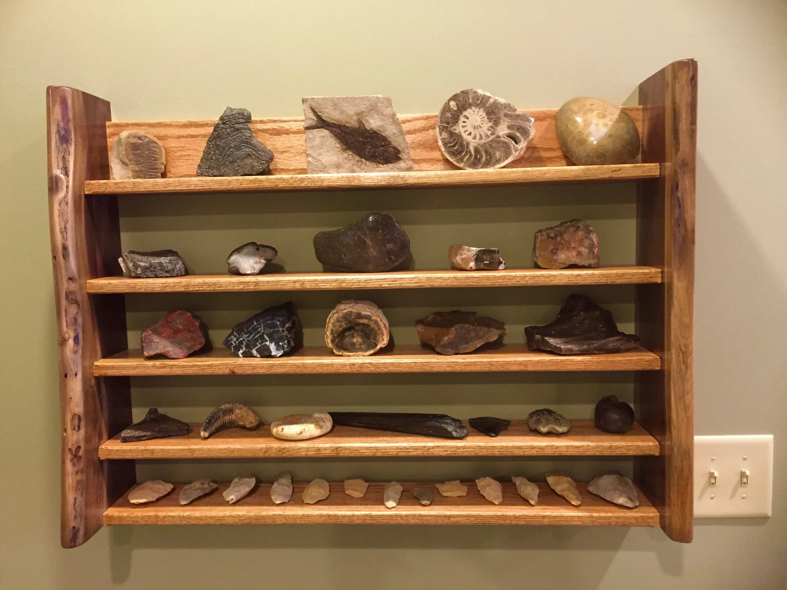 Black Walnut Display Shelf