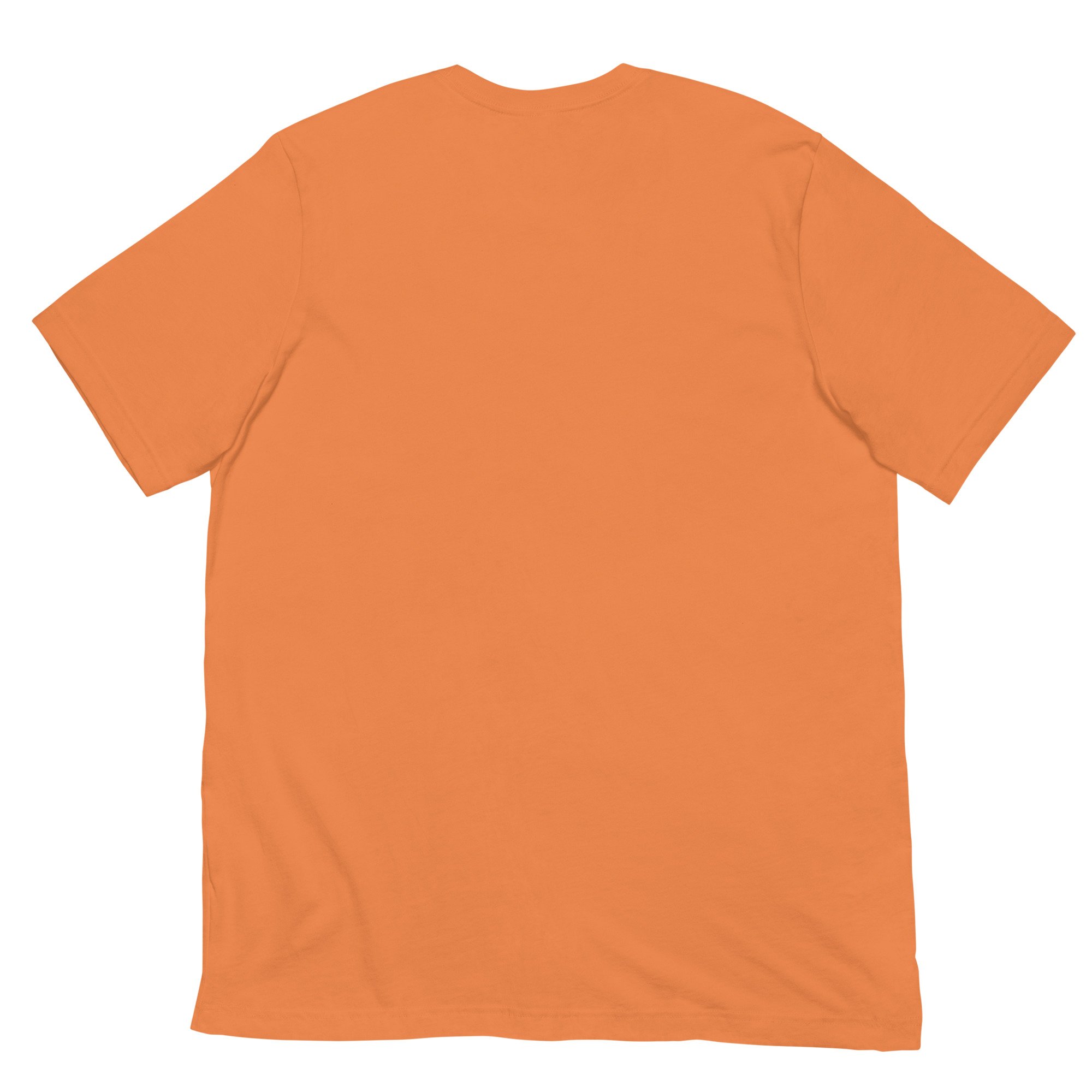 unisex-staple-t-shirt-burnt-orange-back-6973c0ed85734.jpg