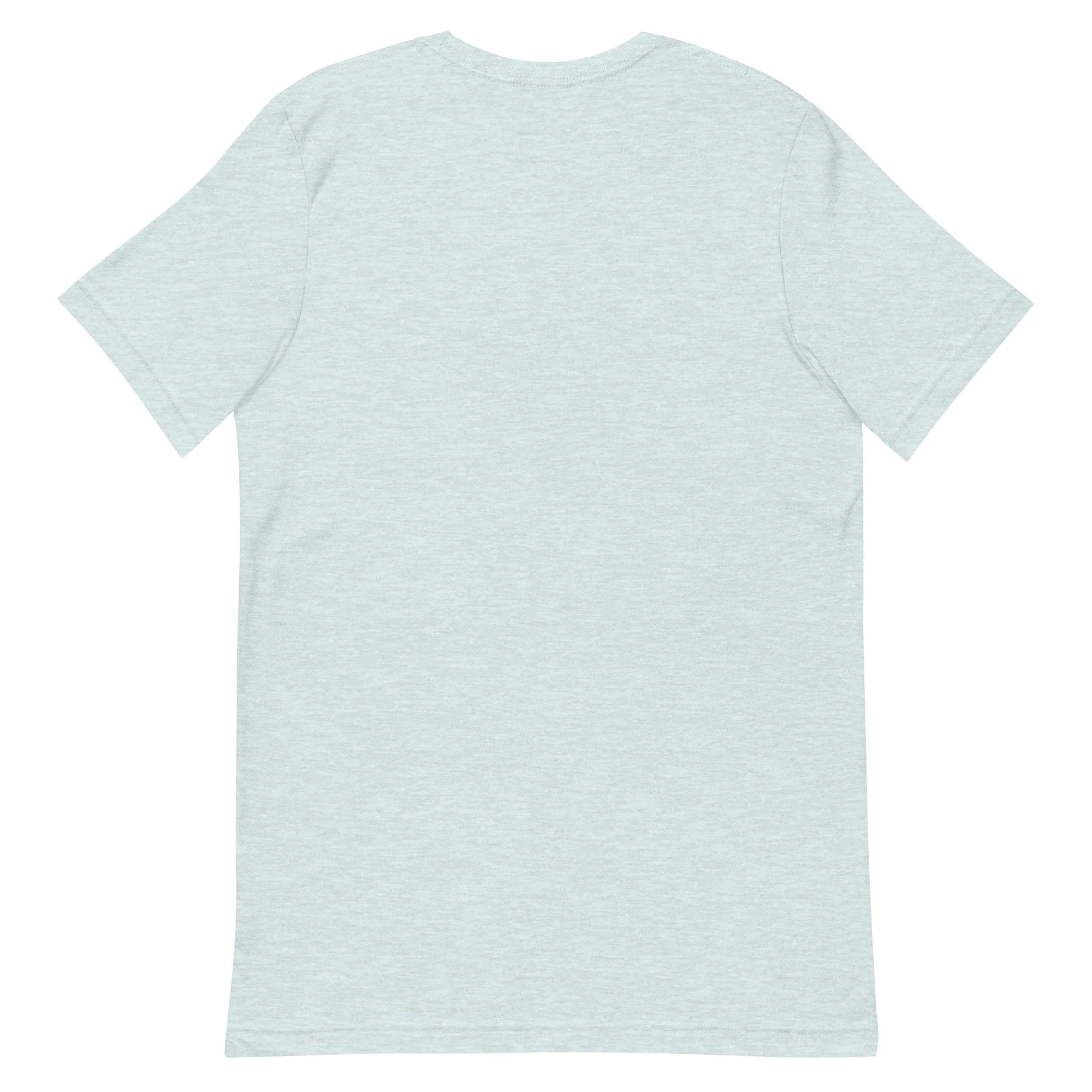 unisex-staple-t-shirt-heather-prism-ice-blue-back-6a2854150e4db.jpg