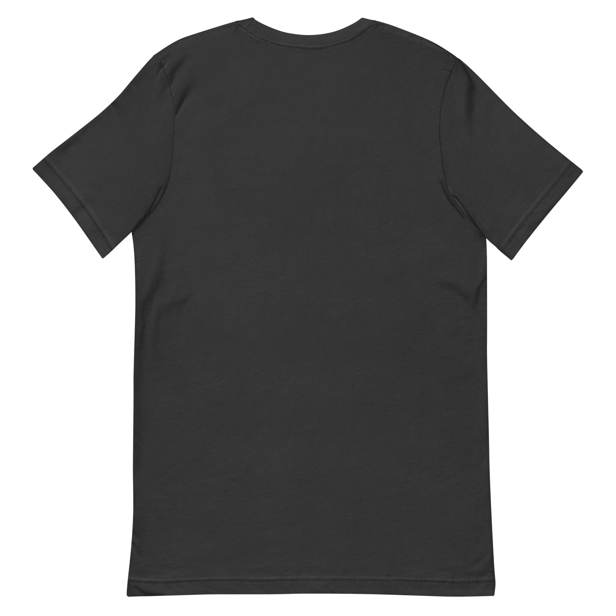 unisex-staple-t-shirt-dark-grey-back-6a285541482c1.jpg