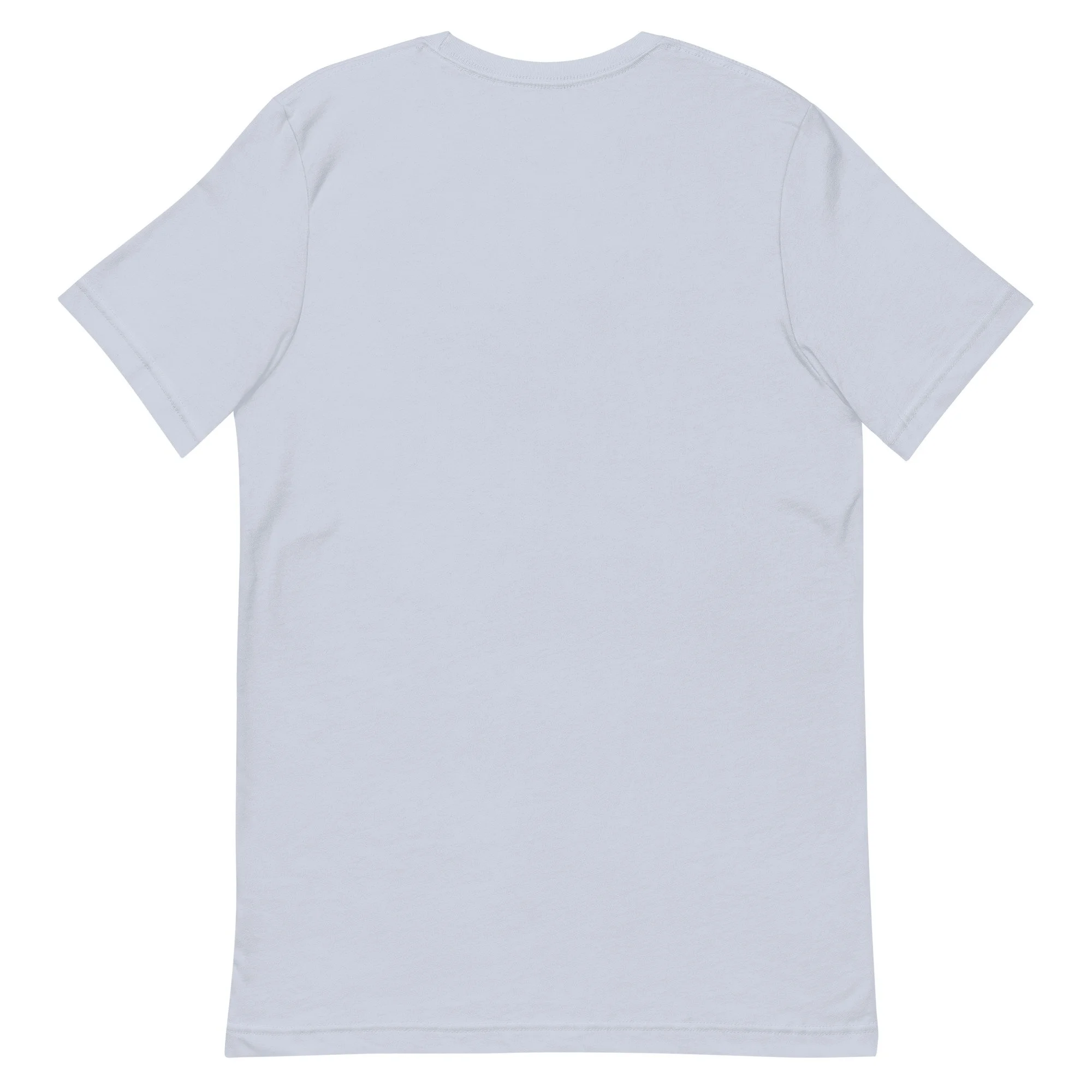 unisex-staple-t-shirt-light-blue-back-6a873bf549a32.jpg