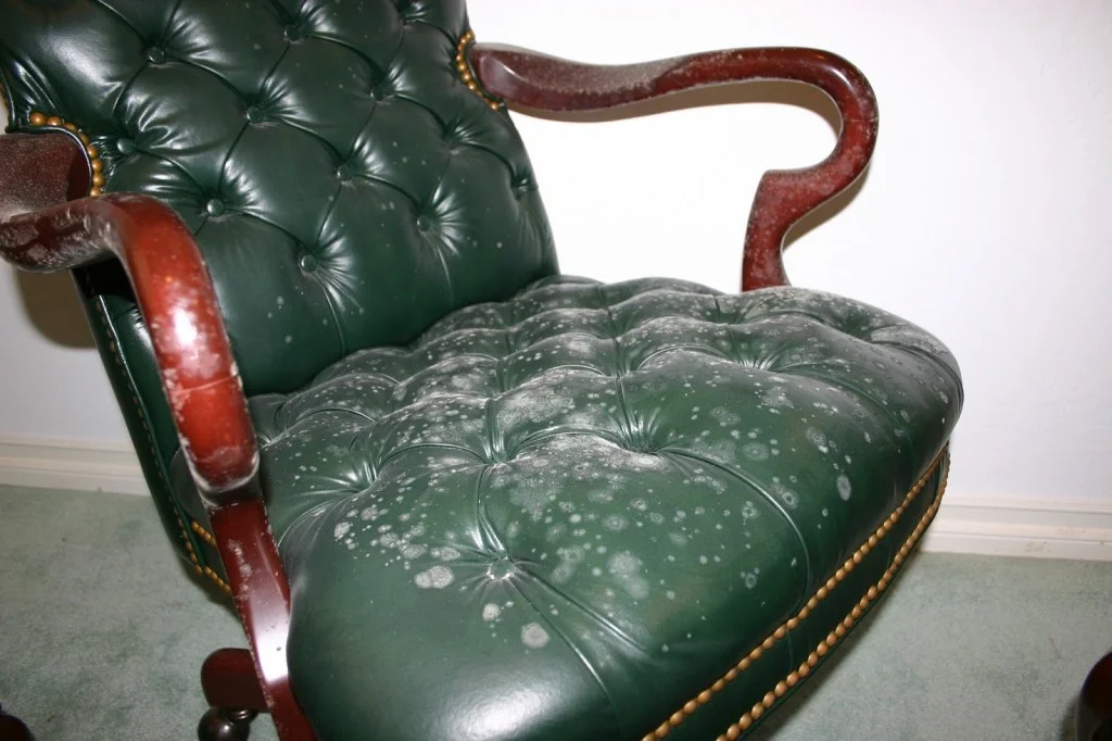MoldLeatherChair.jpg