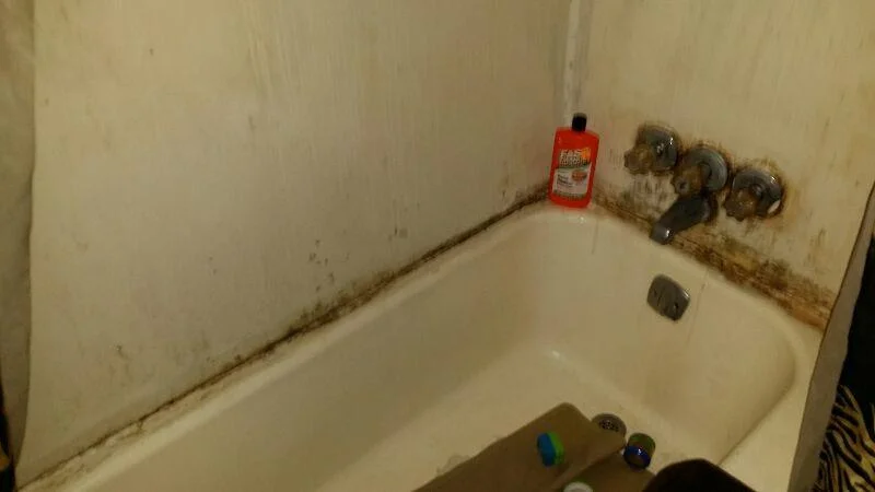 Moldytubwall.jpg