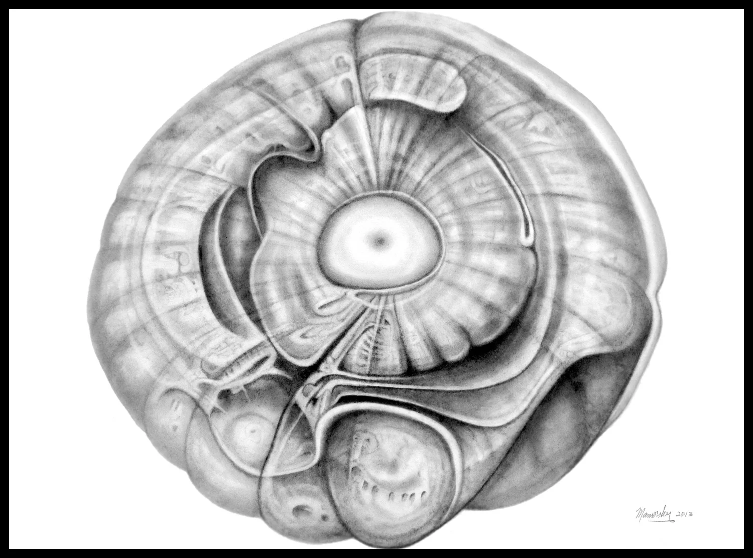 POV, graphite on archival Coquille paper 22" x 30," 27" x 35" framed