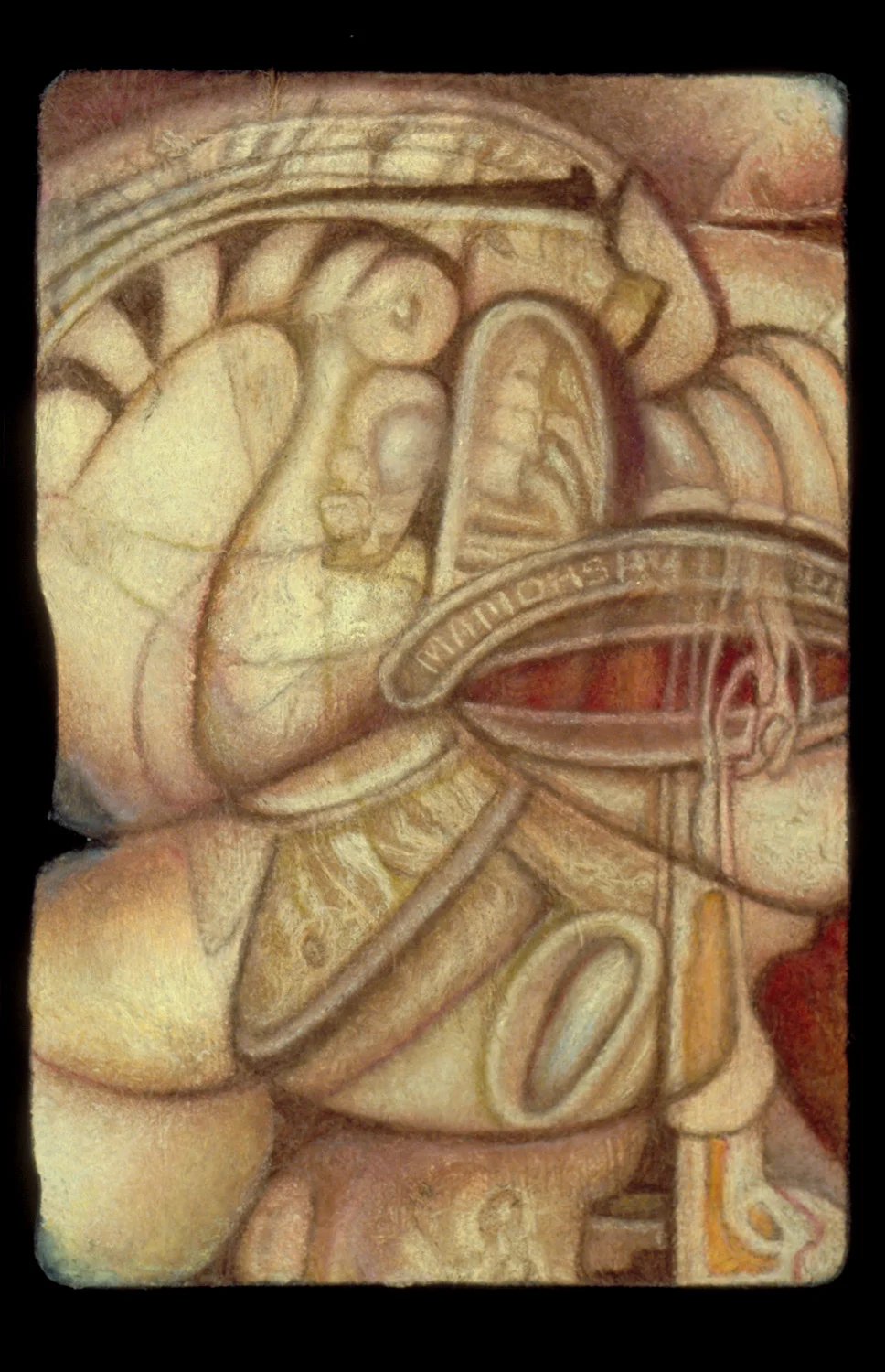 Tigertail, color pencil on amate, 6" x 4"