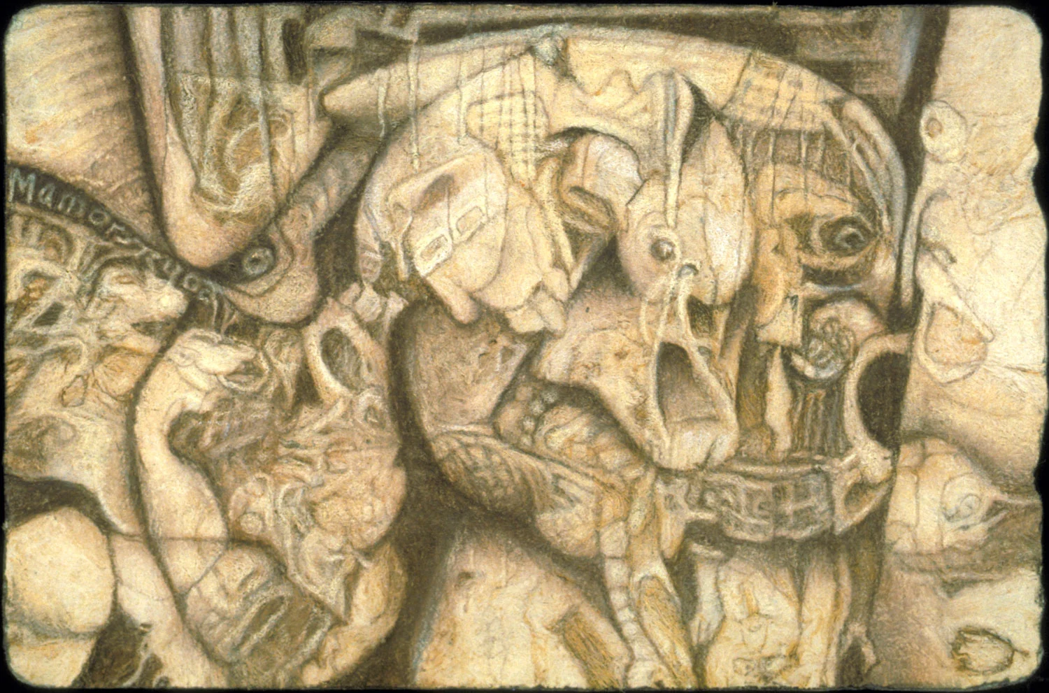 Cerberus, color pencil on amate, 4" x 6"