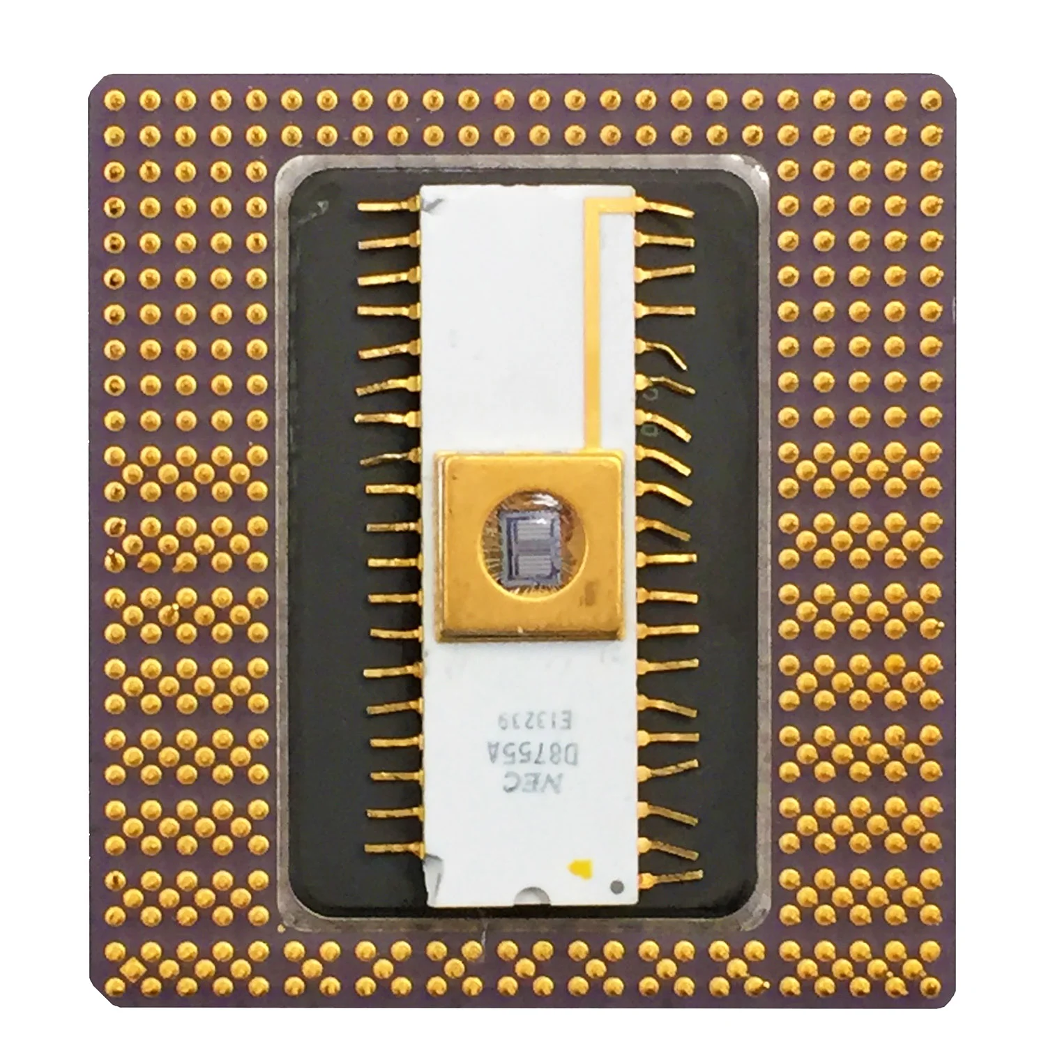 Whitefish, minibyte pin, 3"x 2"
