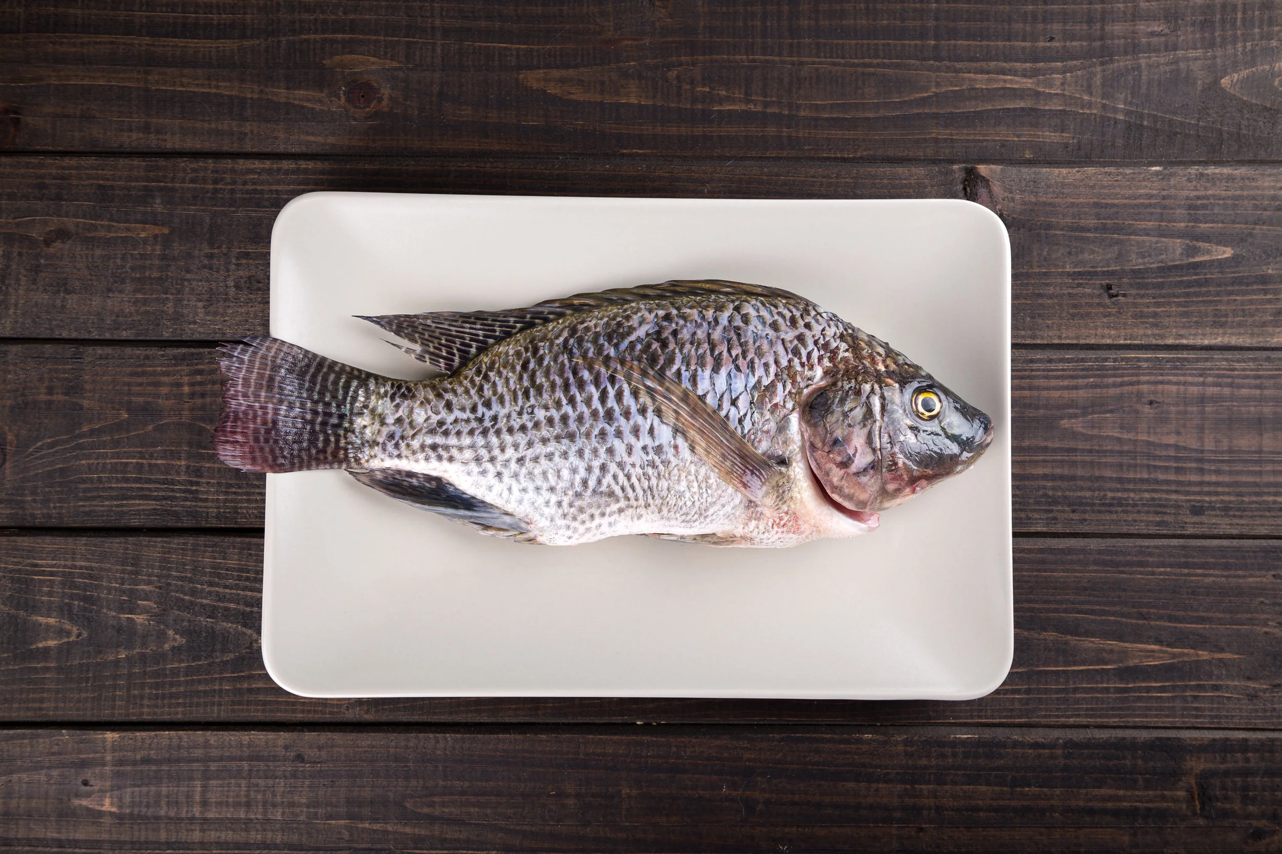 From the land of sky blue waters comes indoor agriculture