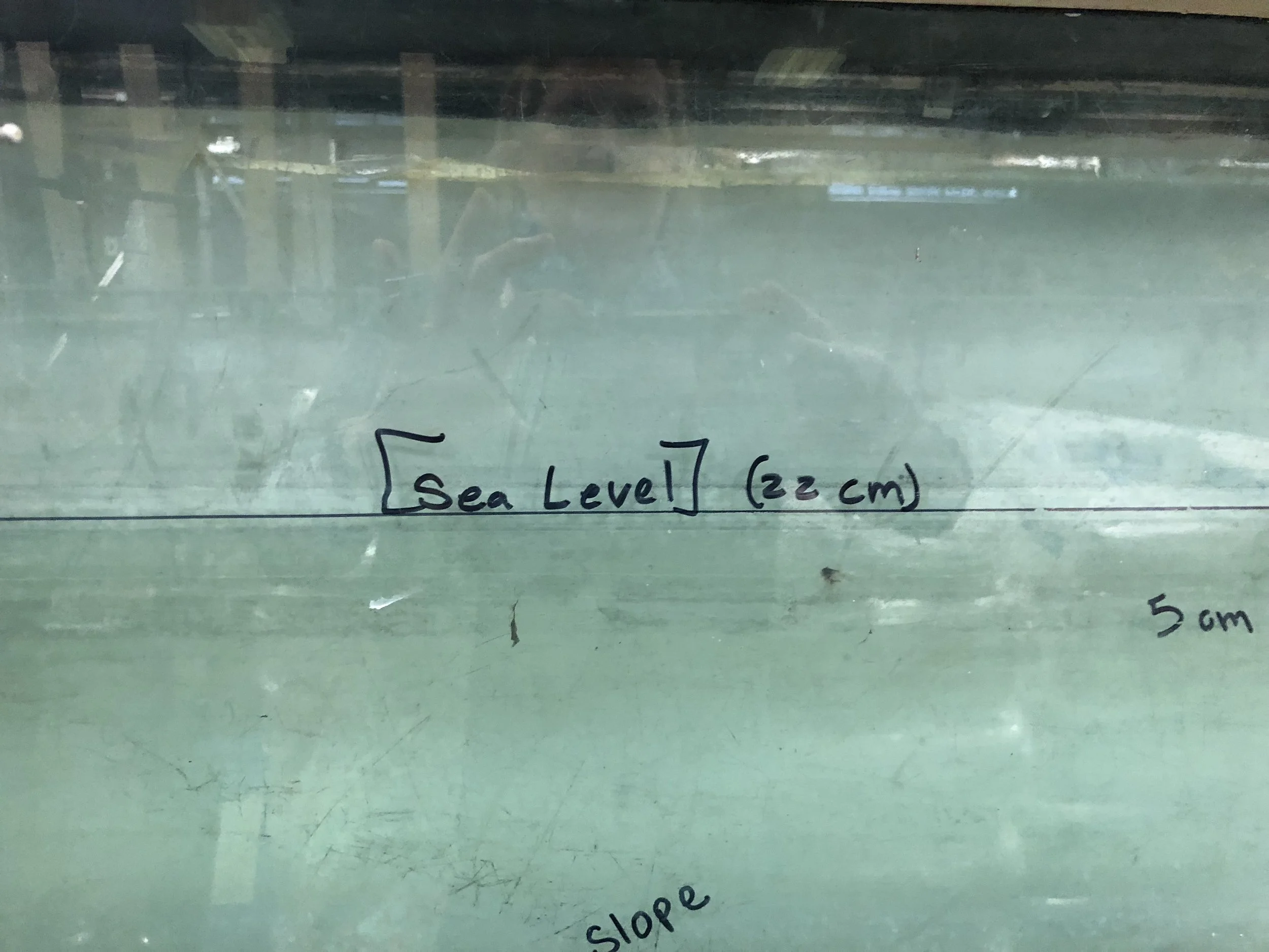 Sea_Level.jpg