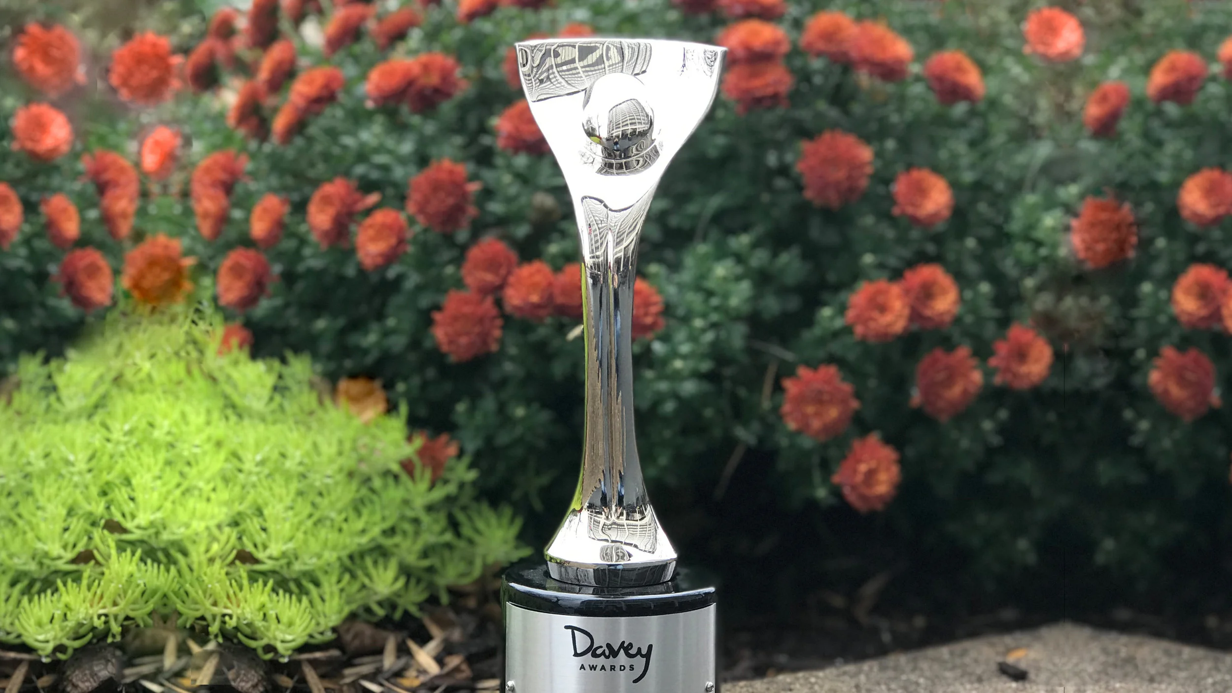 Mindsailing Claims Silver Davey Award for Online Portal to Grow Employee Loyalty