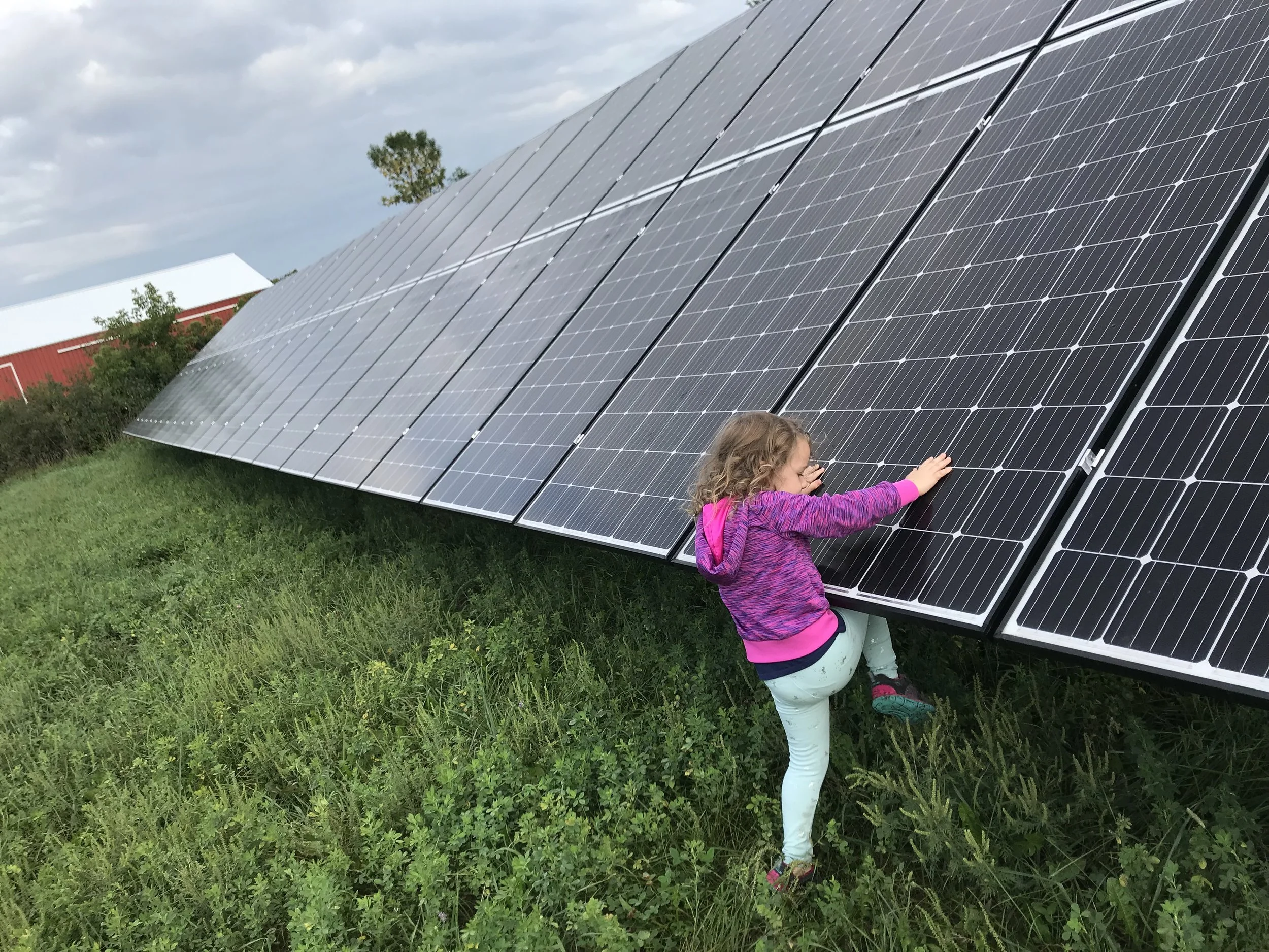 Mindsailing_Renewable Development.jpeg