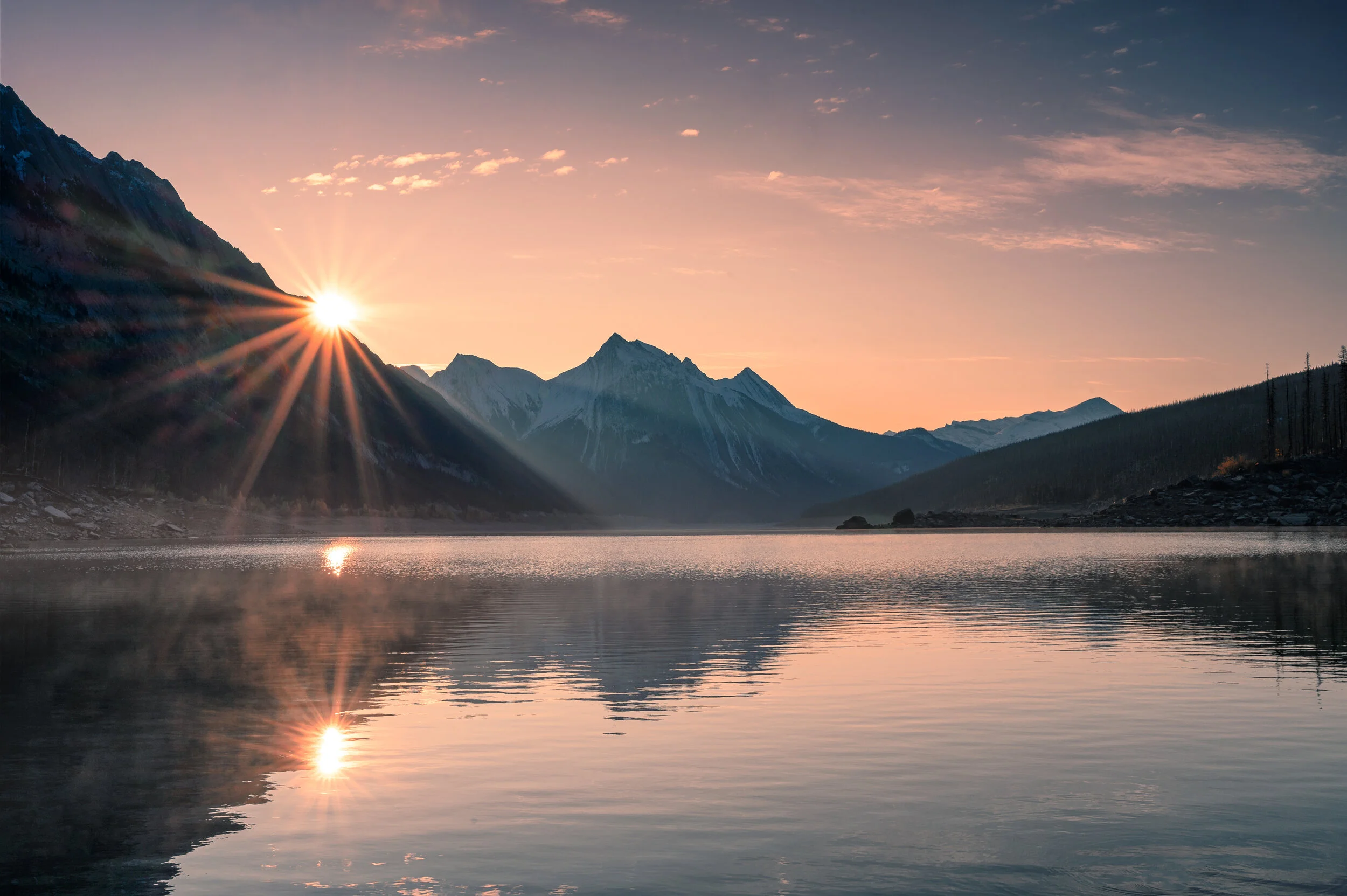 Businesses Practice Positive Transformation In The Midst Of COVID-19