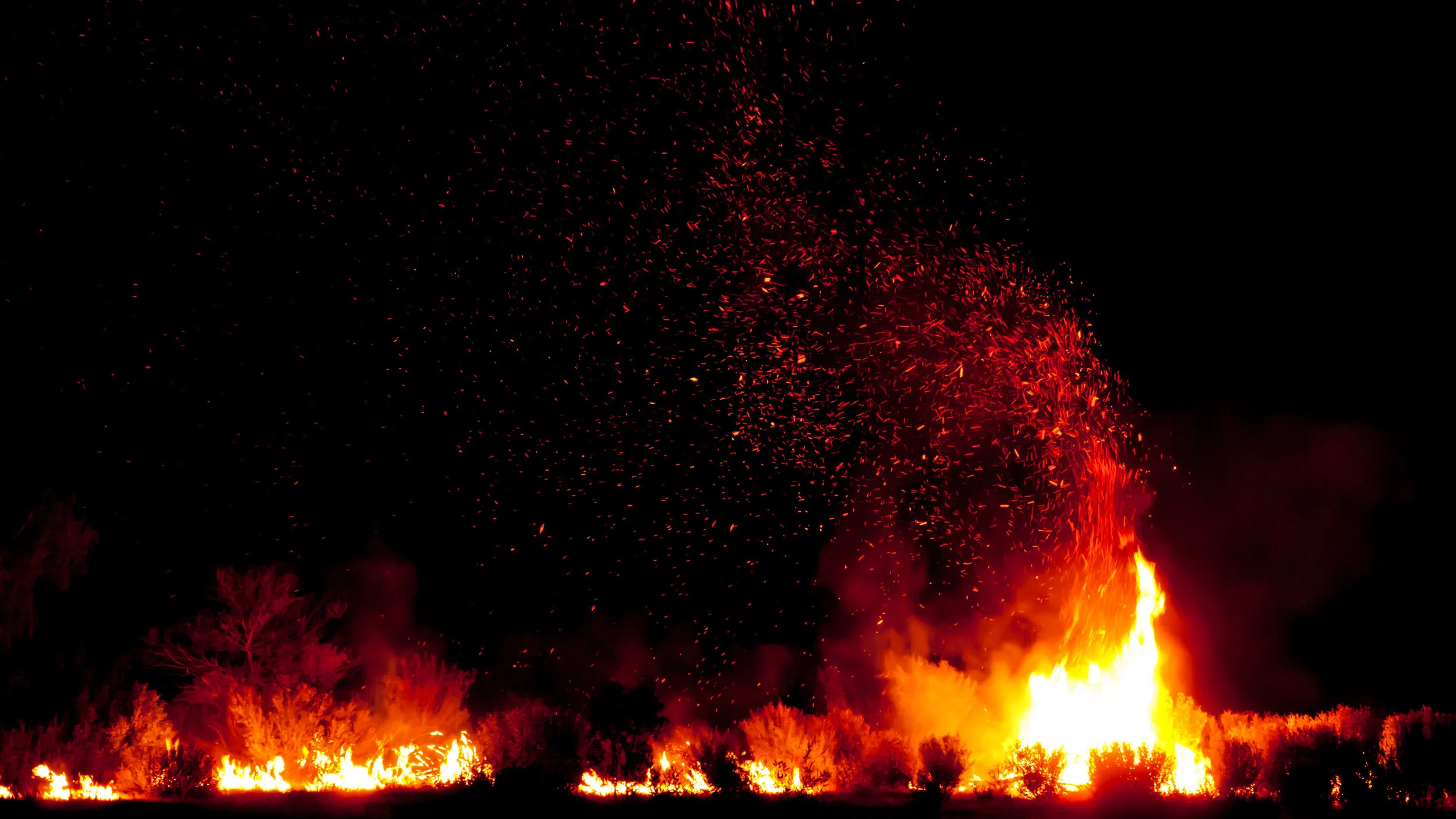 Episode 8: Battling Fires and Remaining Resilient