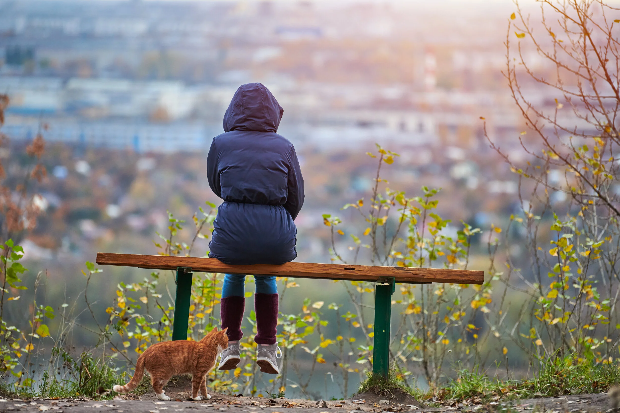 The Impact of COVID-19 on the Eight Domains of Livability