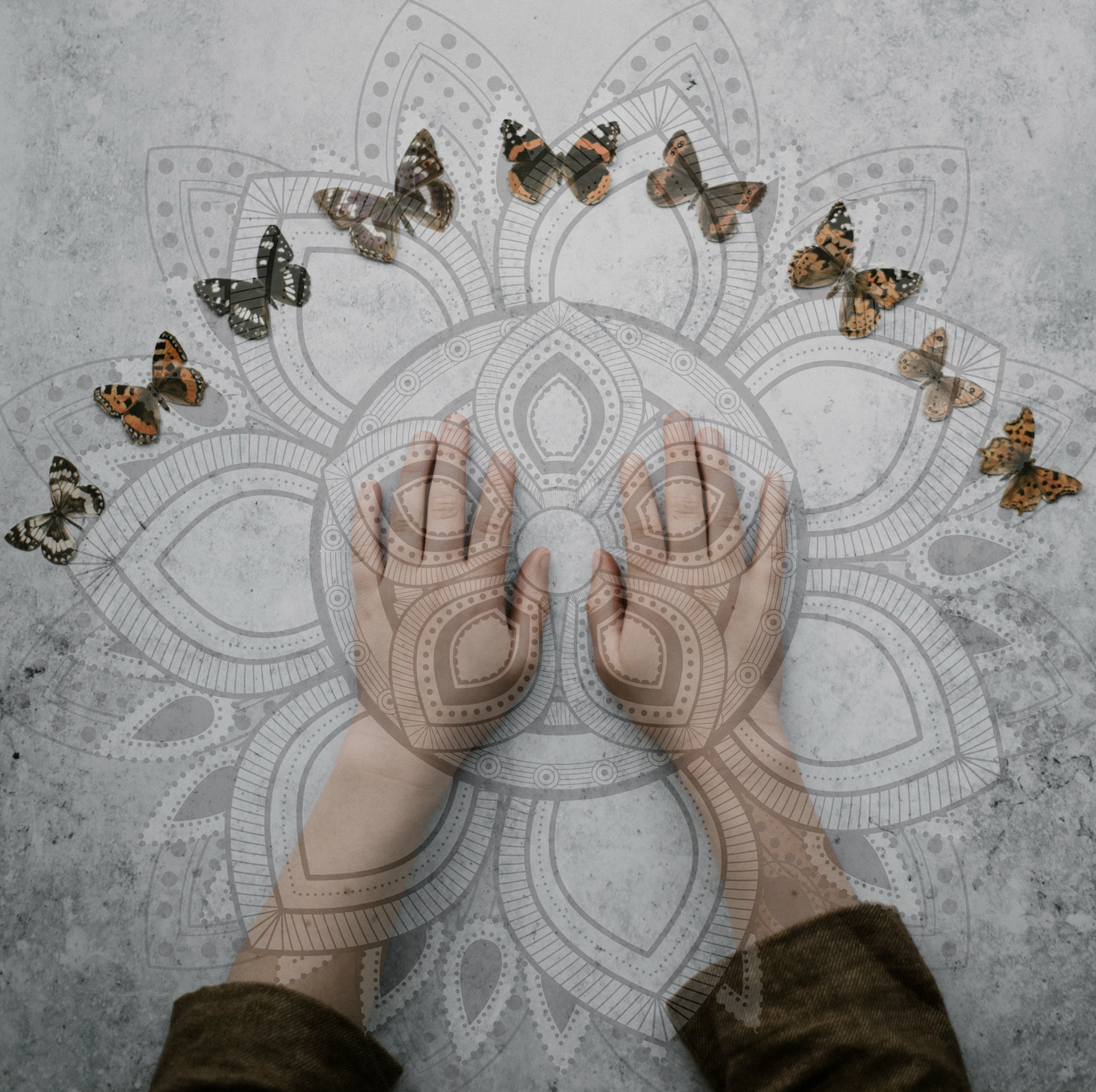 POMOM Butterfly 3.png