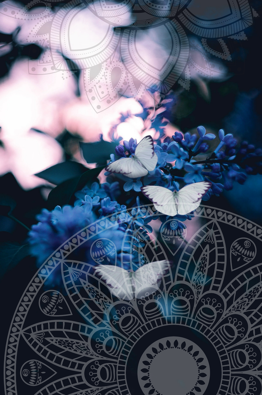 POMOM Butterfly 4.png