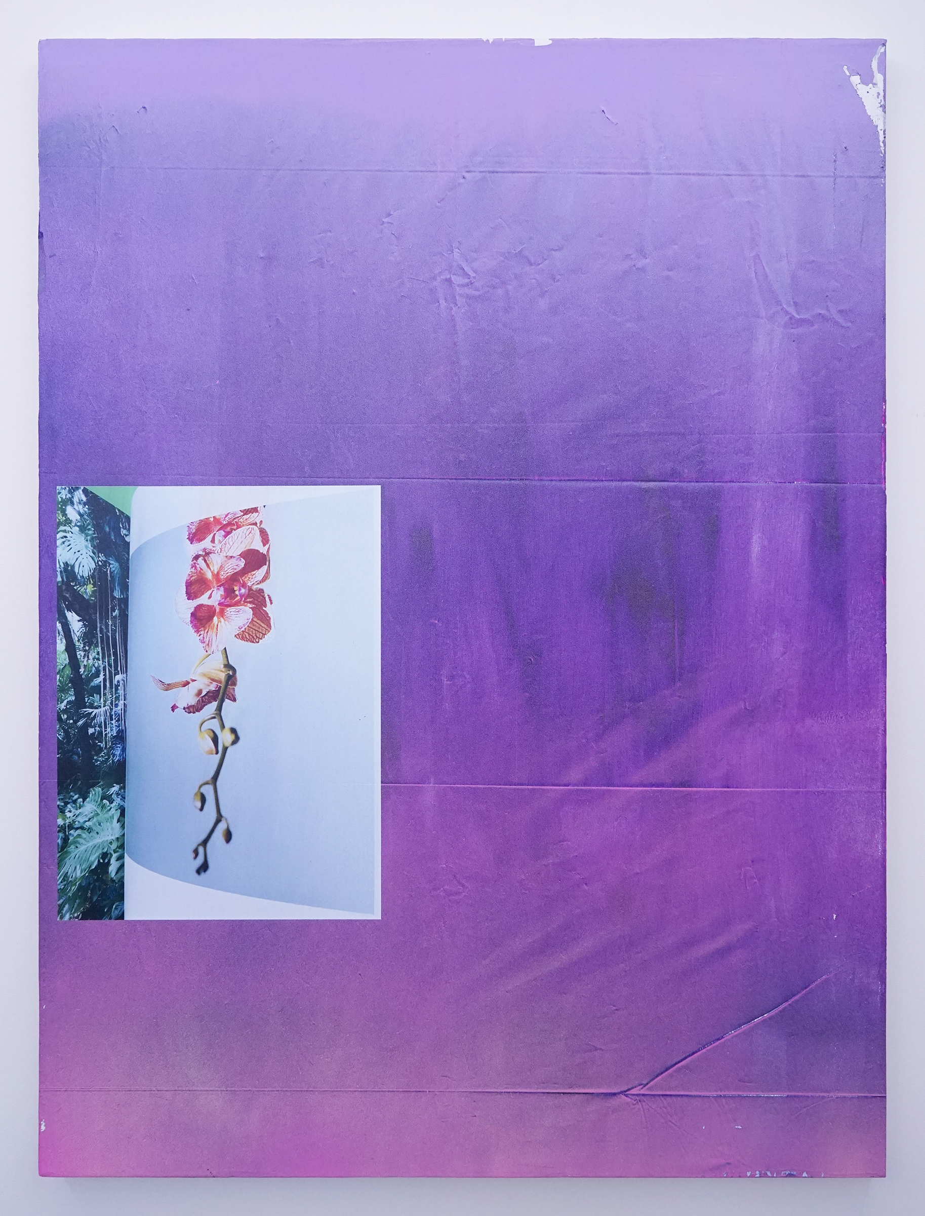 FACUNDO ARGAÑARAZ Untitled (FA03-17) , acrylic and pigment print on canvas, 48" x 36", 2016