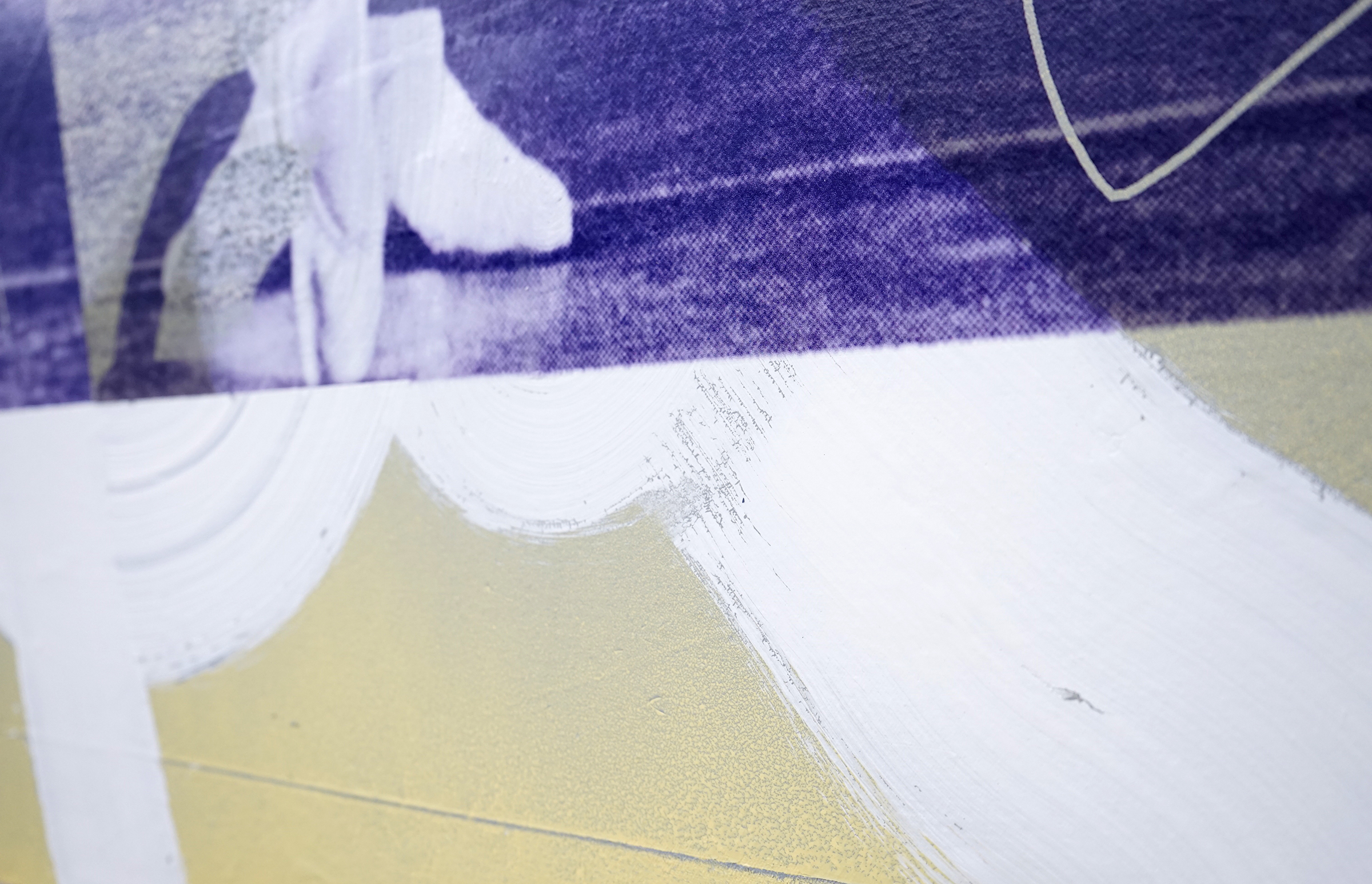 FACUNDO ARGAÑARAZ Untitled (FA02-17) , acrylic and pigment print on canvas, 60" x 44", 2017