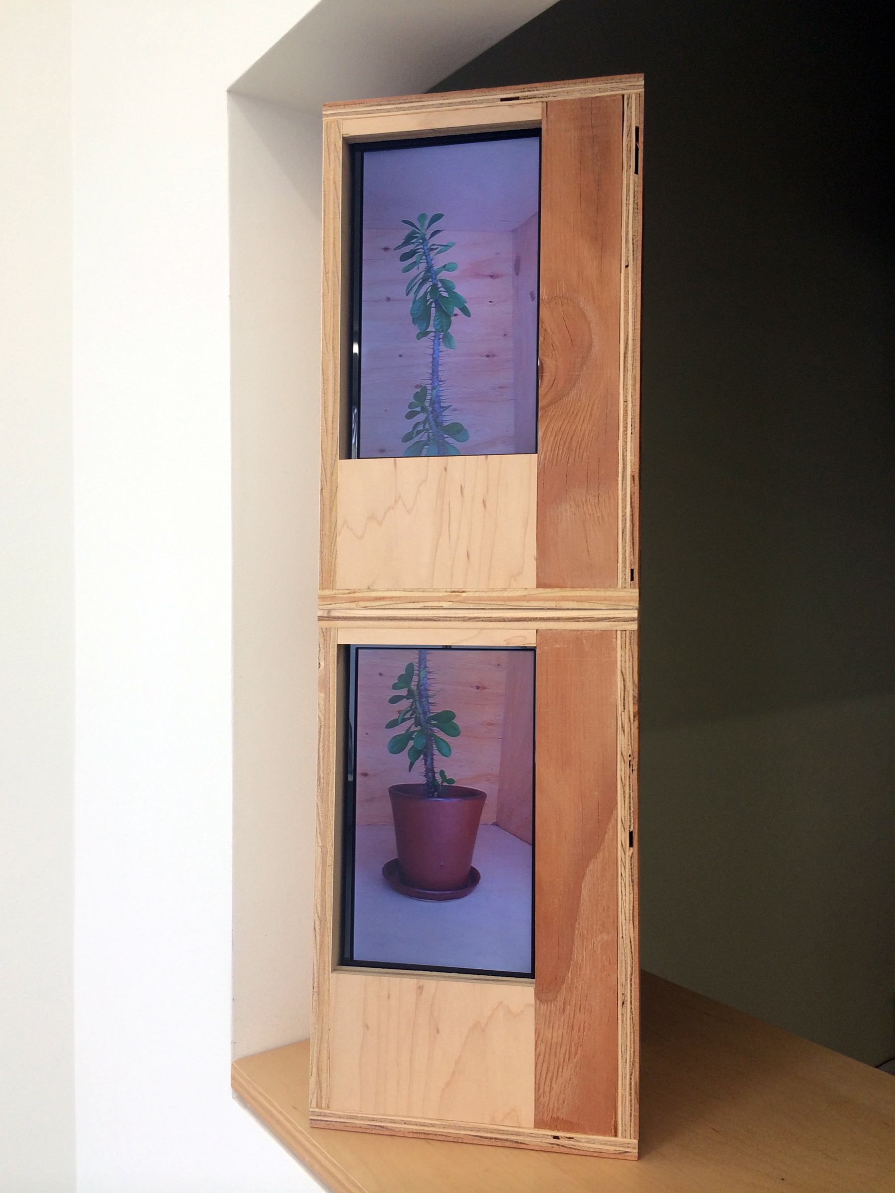   JOSHUA PIEPER   Video Cactus , 2014, LCD monitors, dvds and wood housing, 25.5" x 6.25" x 7.75" 