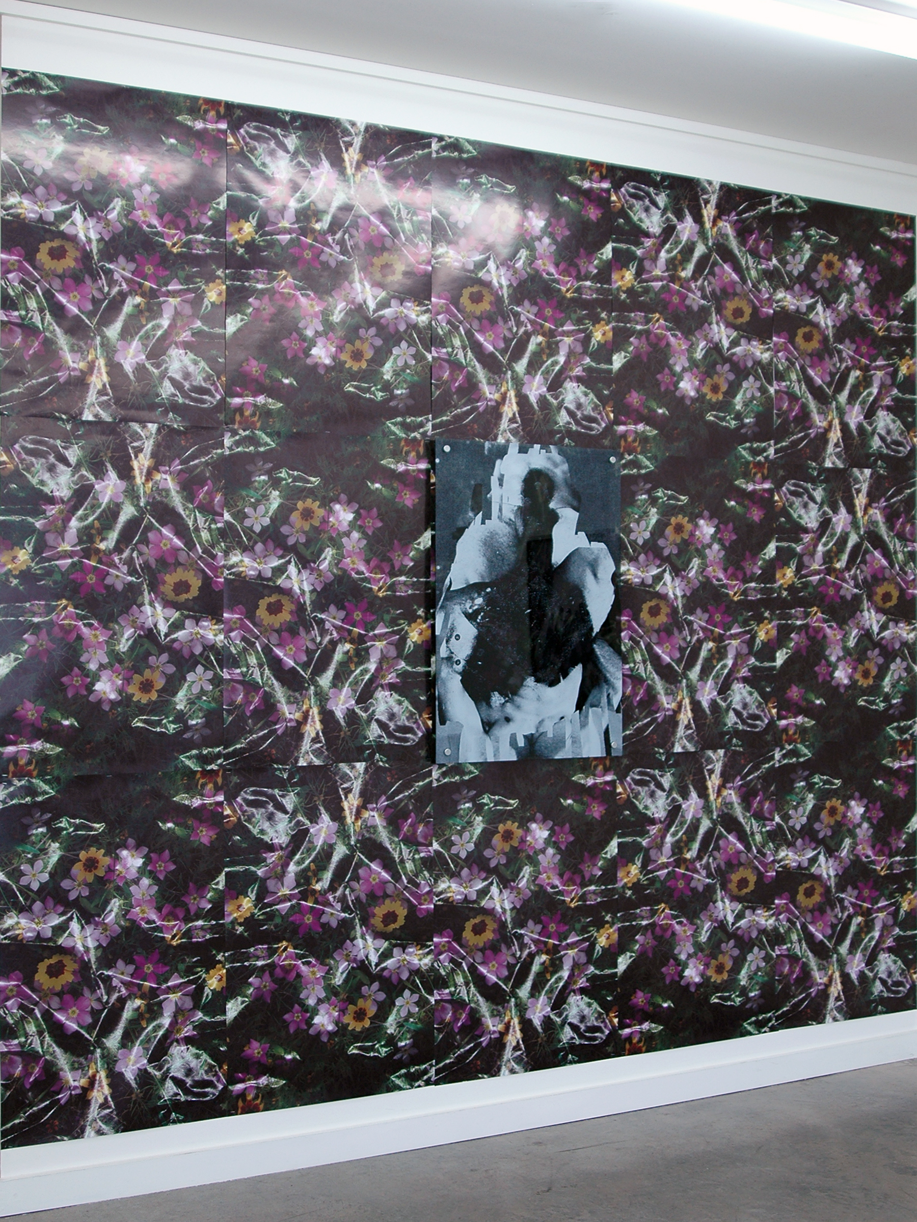   DERIC CARNER   Our Lady of the Flowers,&nbsp; wall installation with print on acrylic and standoffs (36" x 24"), 120" x 120", 2014 