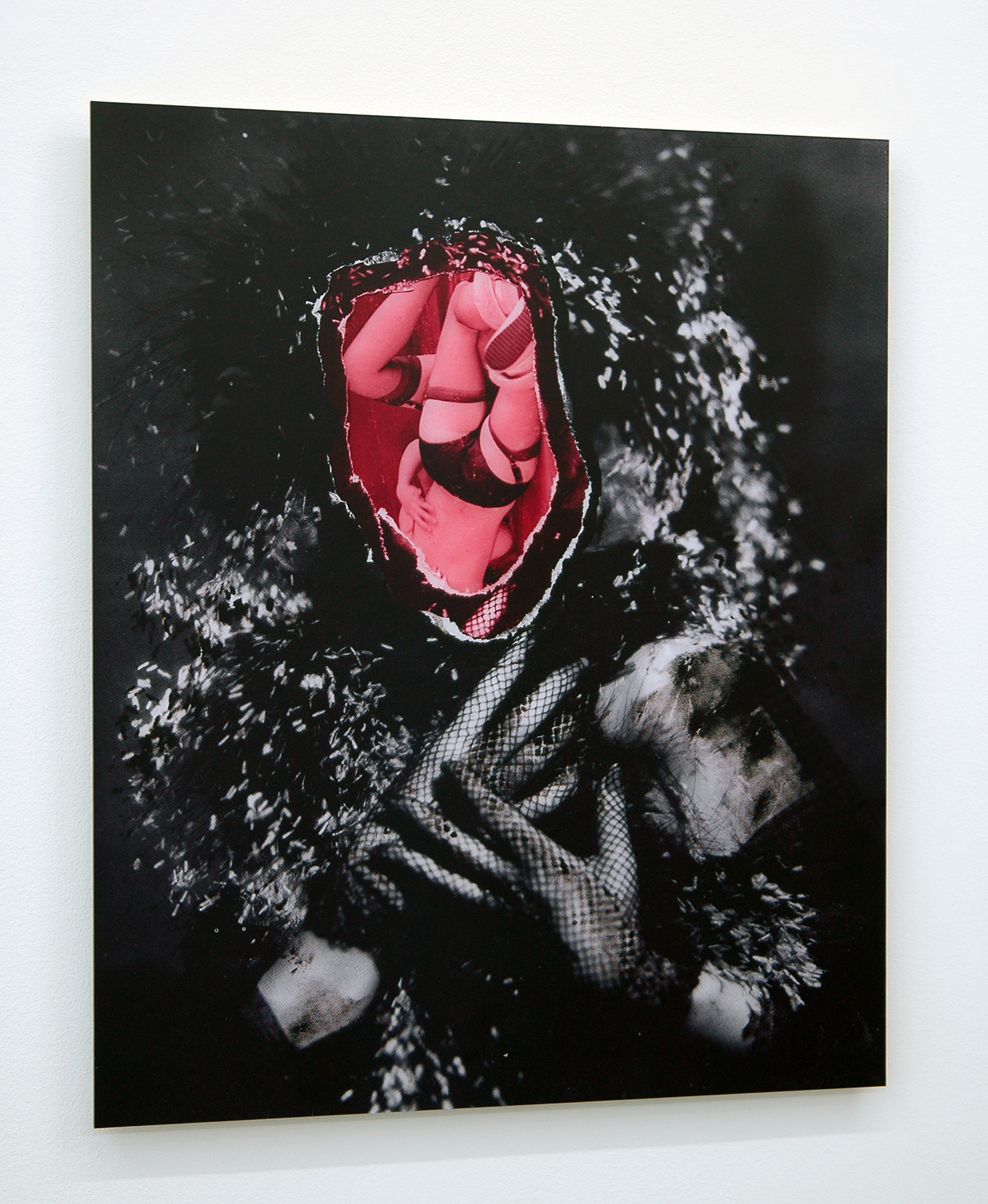   DERIC CARNER  (3/4 view) &nbsp;Here Lies the Heart,&nbsp; mounted c-print, 22" x 18", 2014 