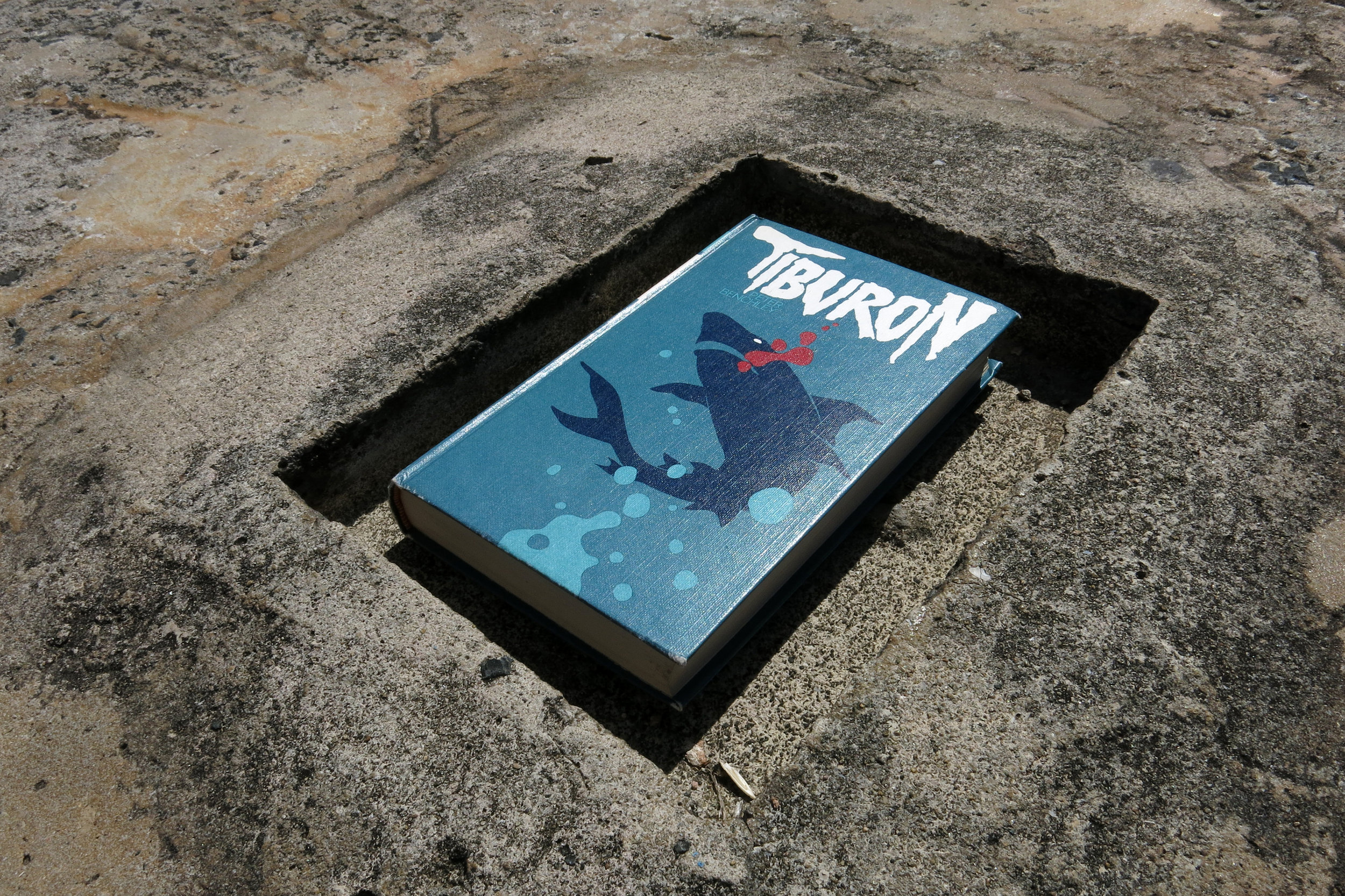   PABLO GUARDIOLA   Sharks 1 , 2014, digital c-print, edition of 3 + 2AP, 10" x 15" 