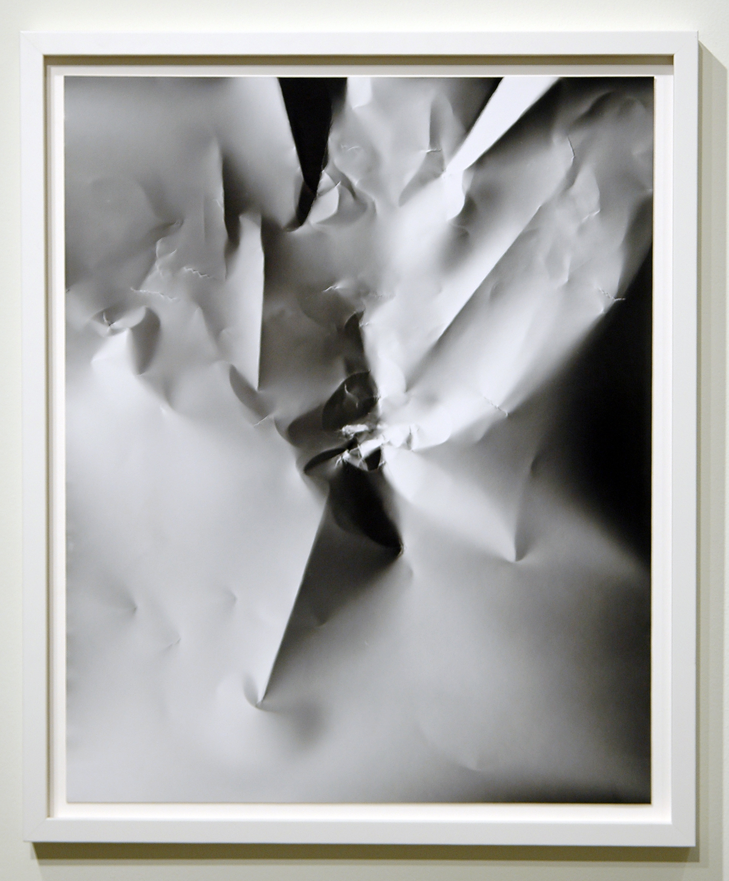   WITH CINDER BLOCKS WE FLATTEN OUR PHOTOGRAPHS  C. Wright Daniel,&nbsp; Untitled (Profile Portrait) , unique silver gelatin print, 26.5" x 22", 2013 