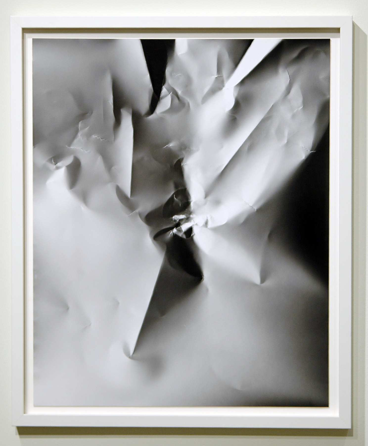 WITH CINDER BLOCKS WE FLATTEN OUR PHOTOGRAPHS C. Wright Daniel, Untitled (Profile Portrait) , unique silver gelatin print, 26.5" x 22", 2013