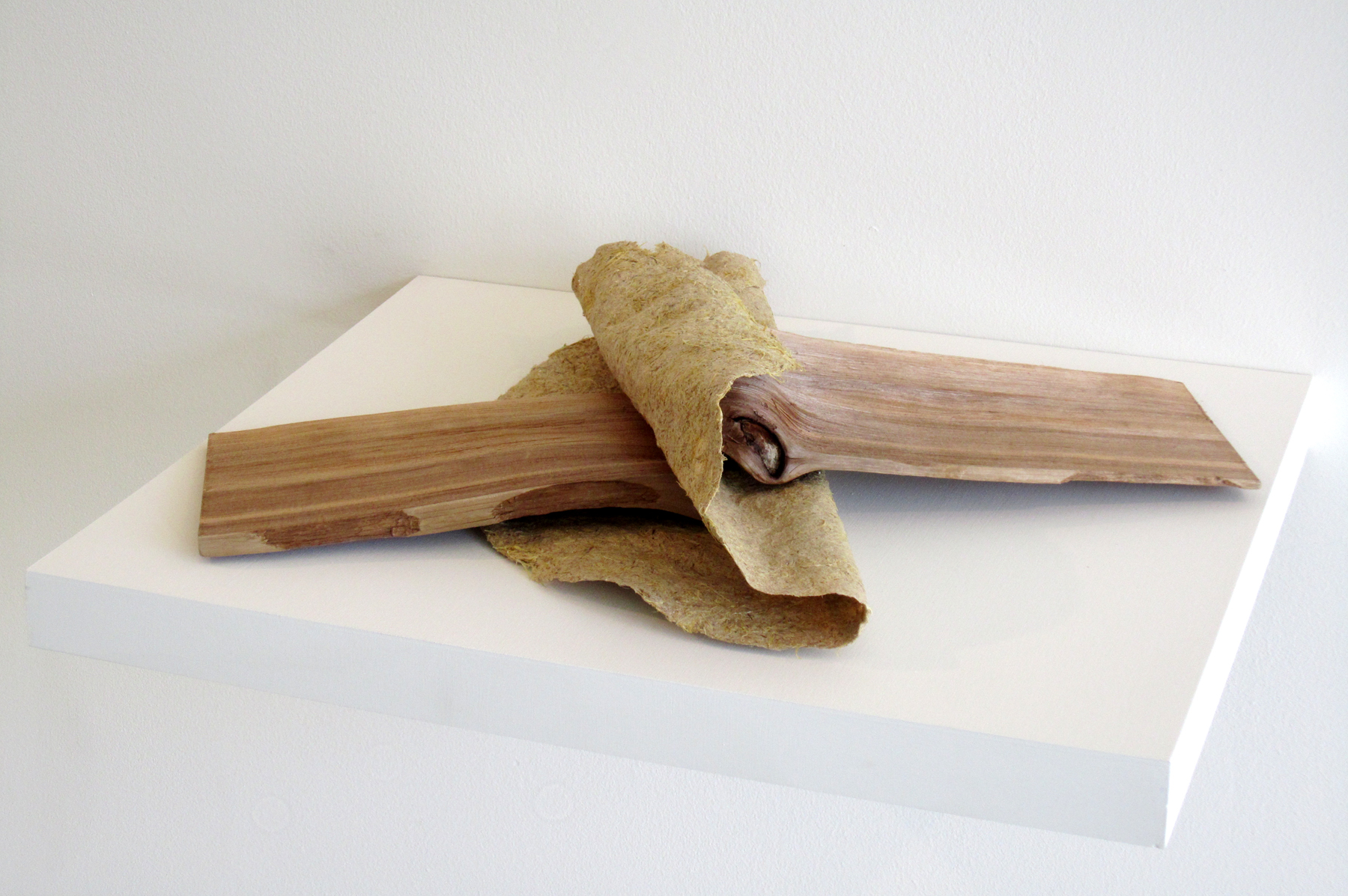 MOLLY SMITH Ebb, 2012, corn husk, cat tail and cedar, 4" x 15" x 20"