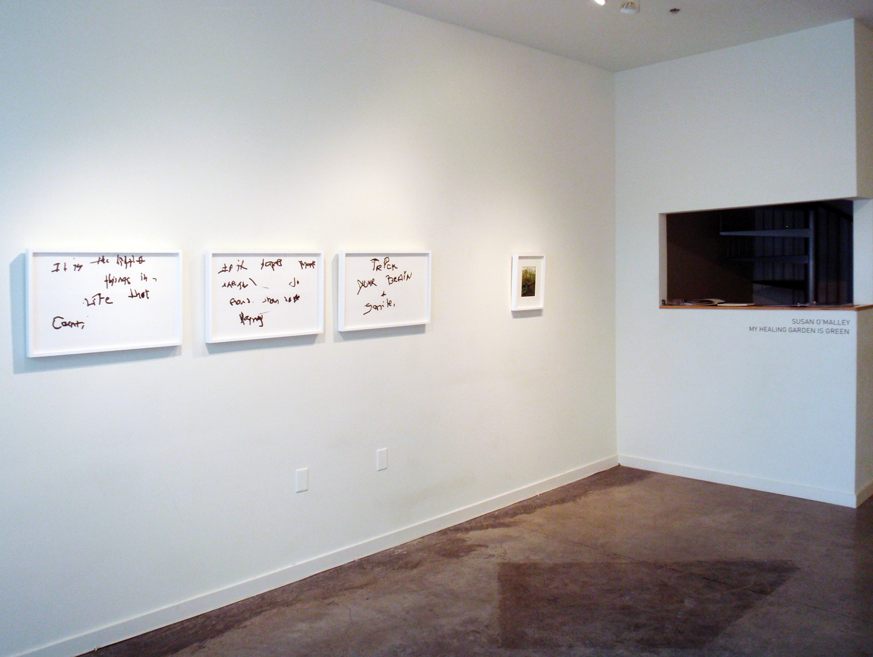SUSAN O'MALLEY My Healing Garden is Green , installation