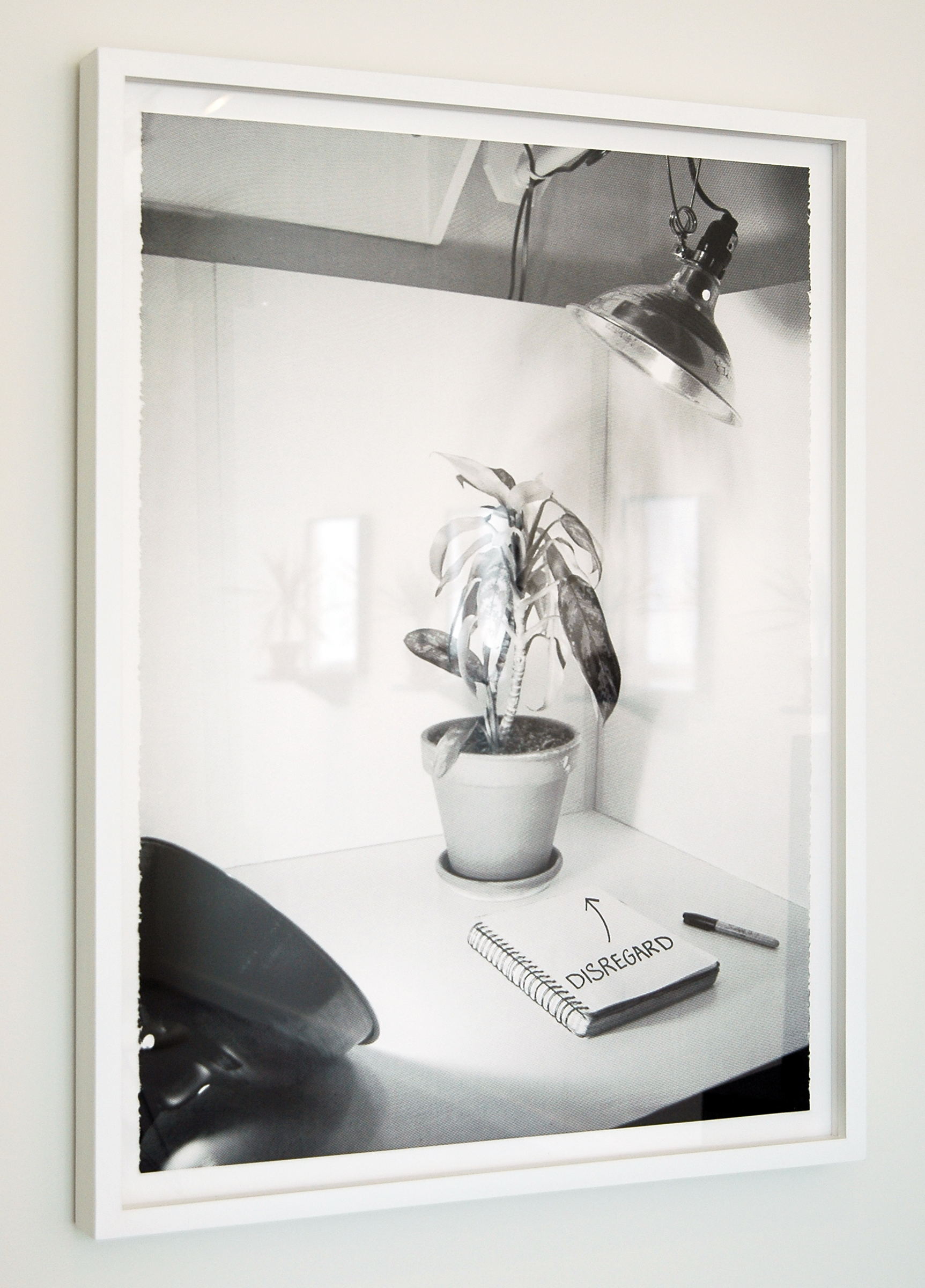 JOSHUA PIEPER Disregard , silkscreen and ink on paper, 33" x 25" (framed), edition of 10 + 1AP + 2PP, 2012