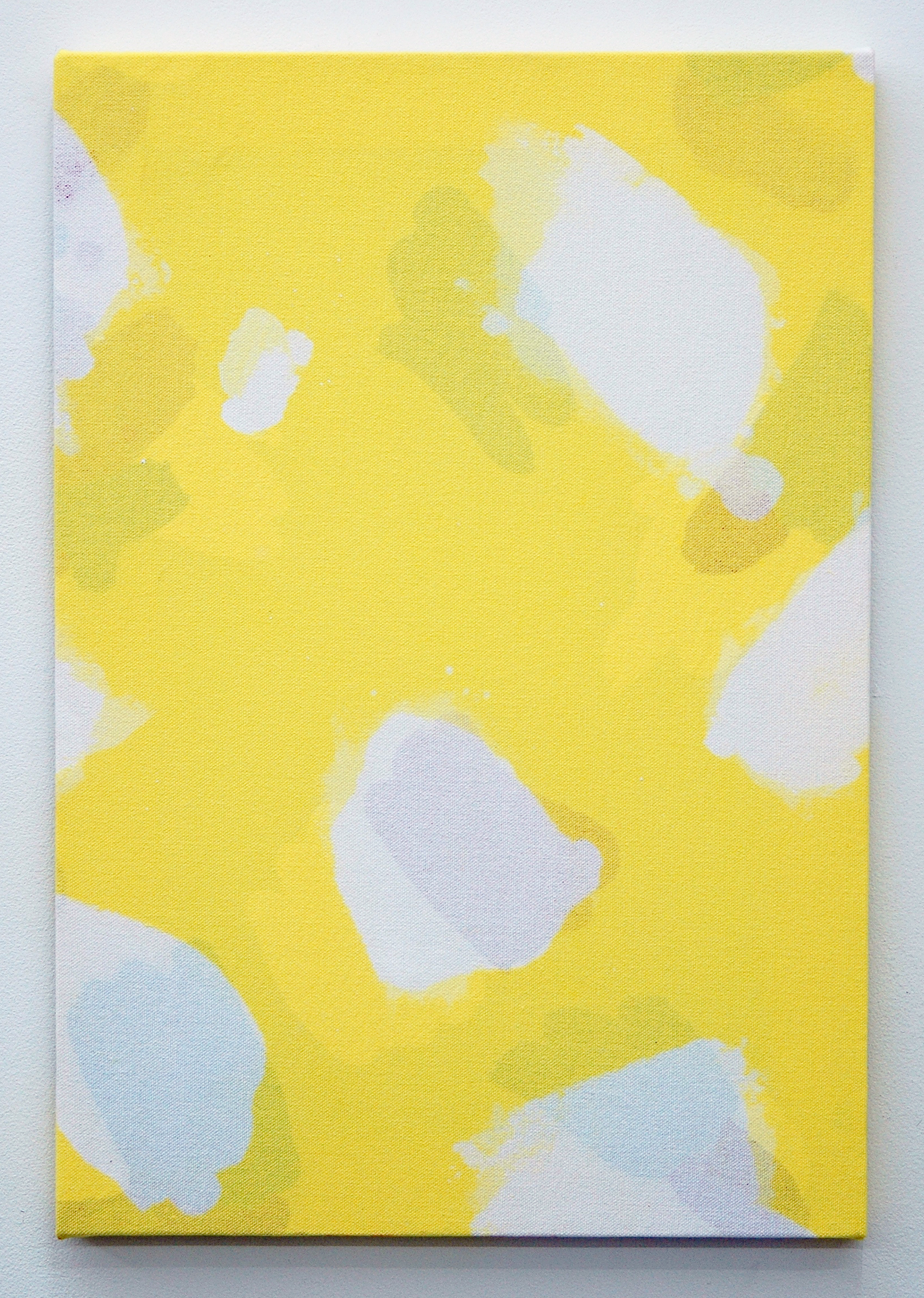   /SLASH/  Amanda Curreri, &nbsp;Calm Lunatics (Pattern for Performance, Reverse) , fabric dye, acrylic, dye remover on cotton 19" x 13", 2014 