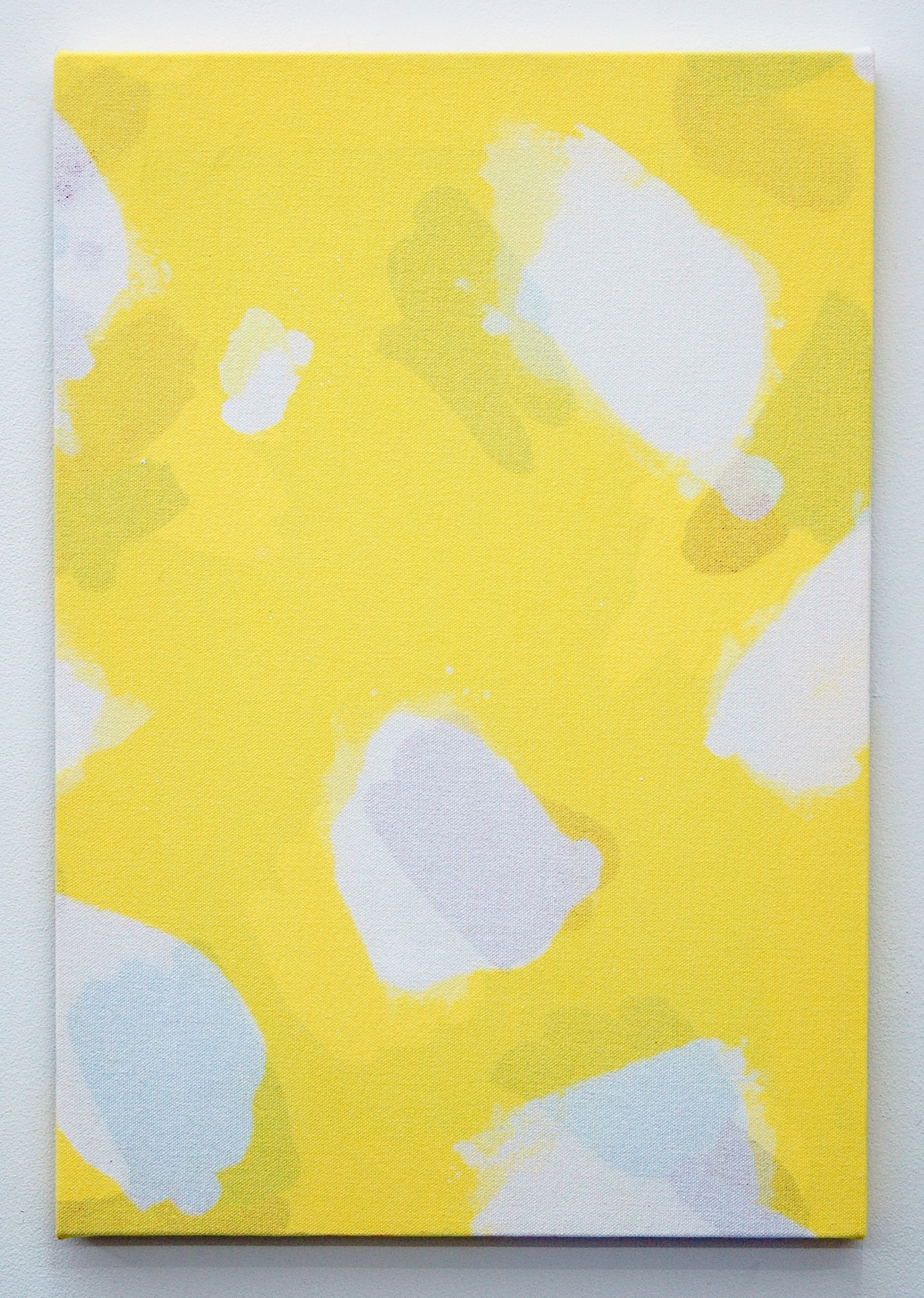 /SLASH/ Amanda Curreri, Calm Lunatics (Pattern for Performance, Reverse) , fabric dye, acrylic, dye remover on cotton 19" x 13", 2014