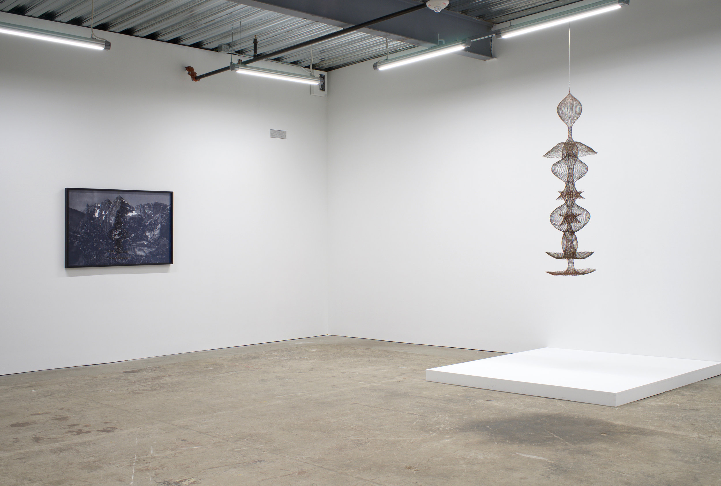 Somatic Gesture , installation image