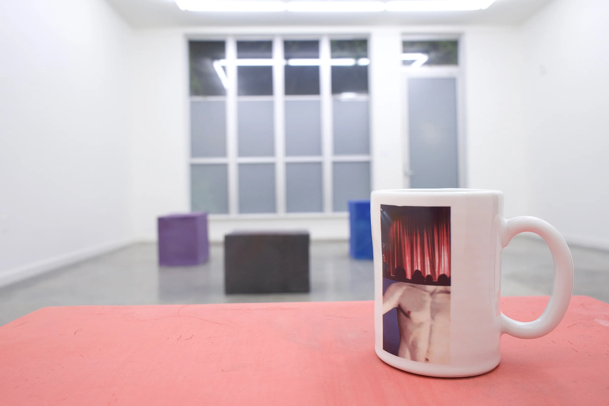 Erik Scollon, Object Choice , installation view