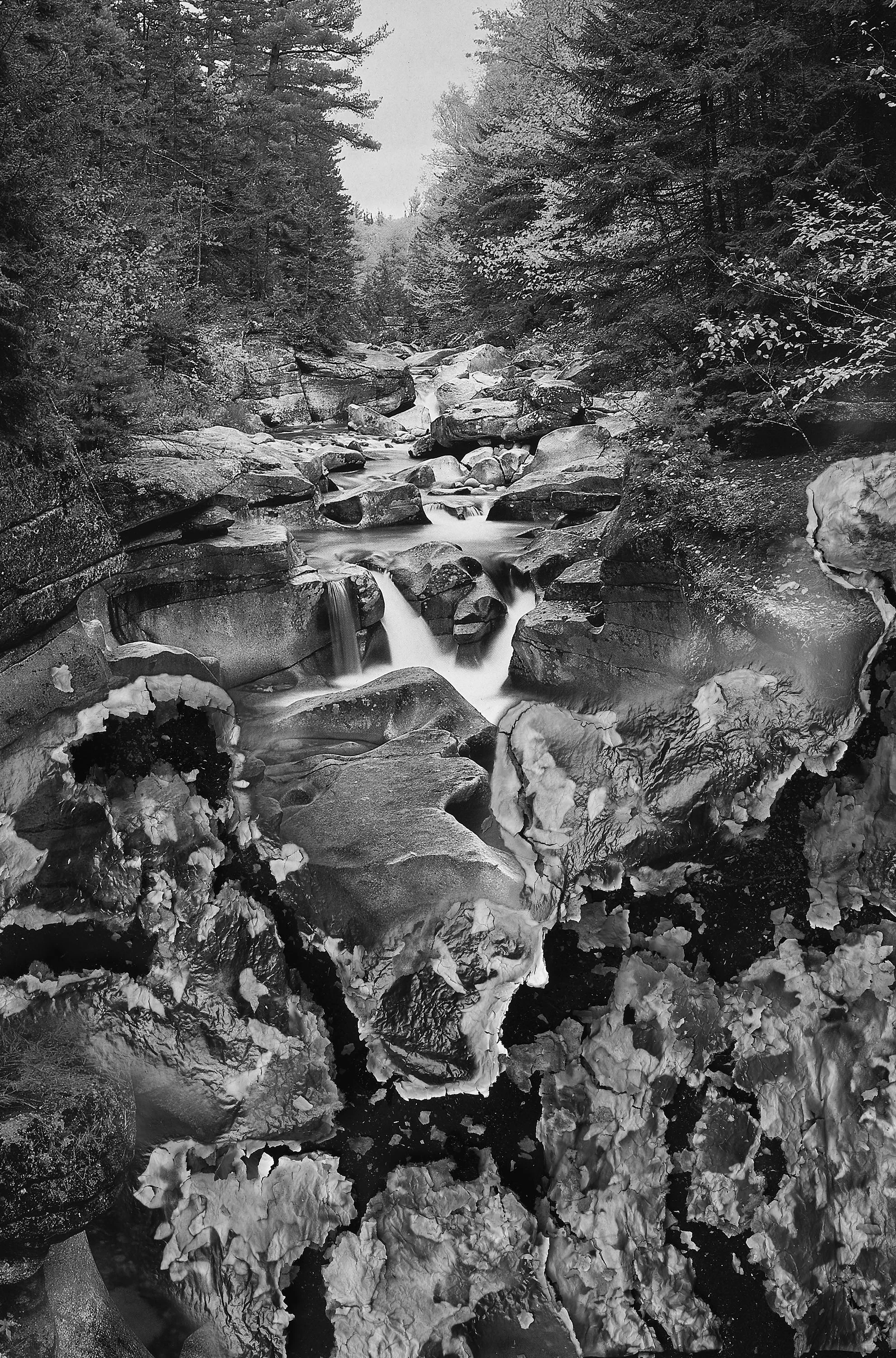 BESSMA KHALAF Burnout (Boulder Creek) , 2019 Archival pigment print 50” x 33”, Edition of 3 with 1AP