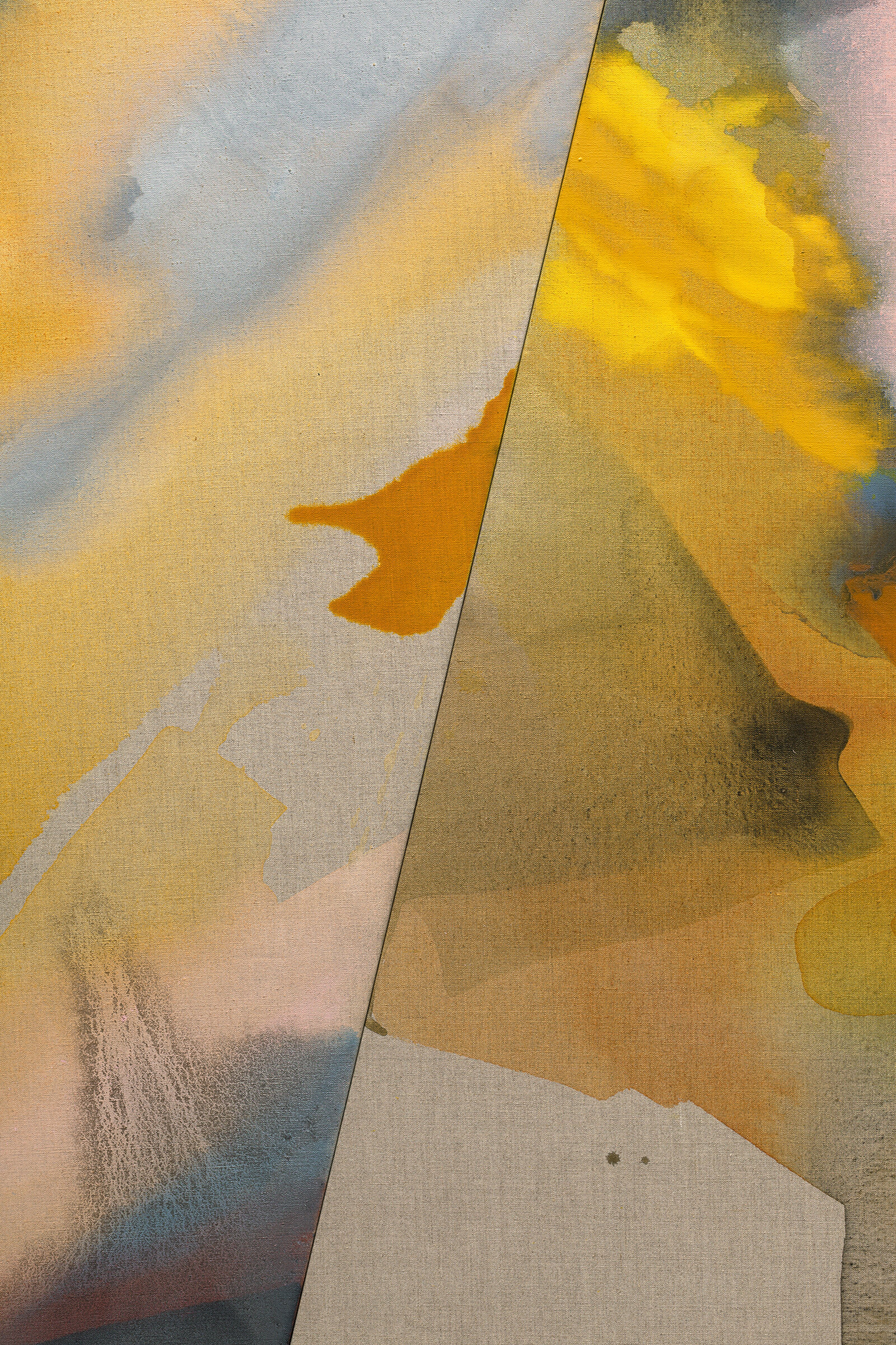  PAMELA JORDEN (detail)  Falls , 2019 oil and acrylic on linen, 72.5” x 66” 