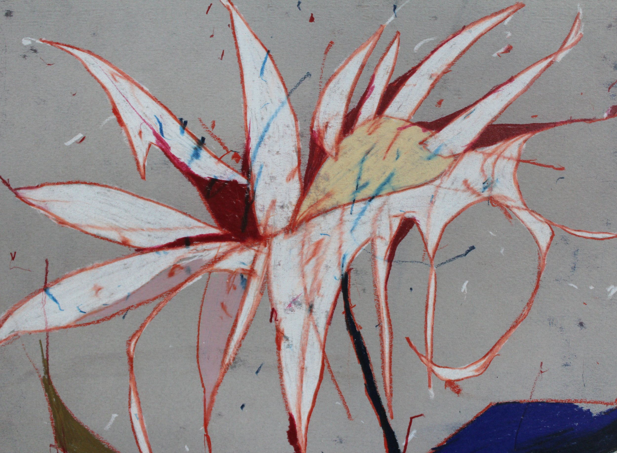   Flower Drawing , detail 