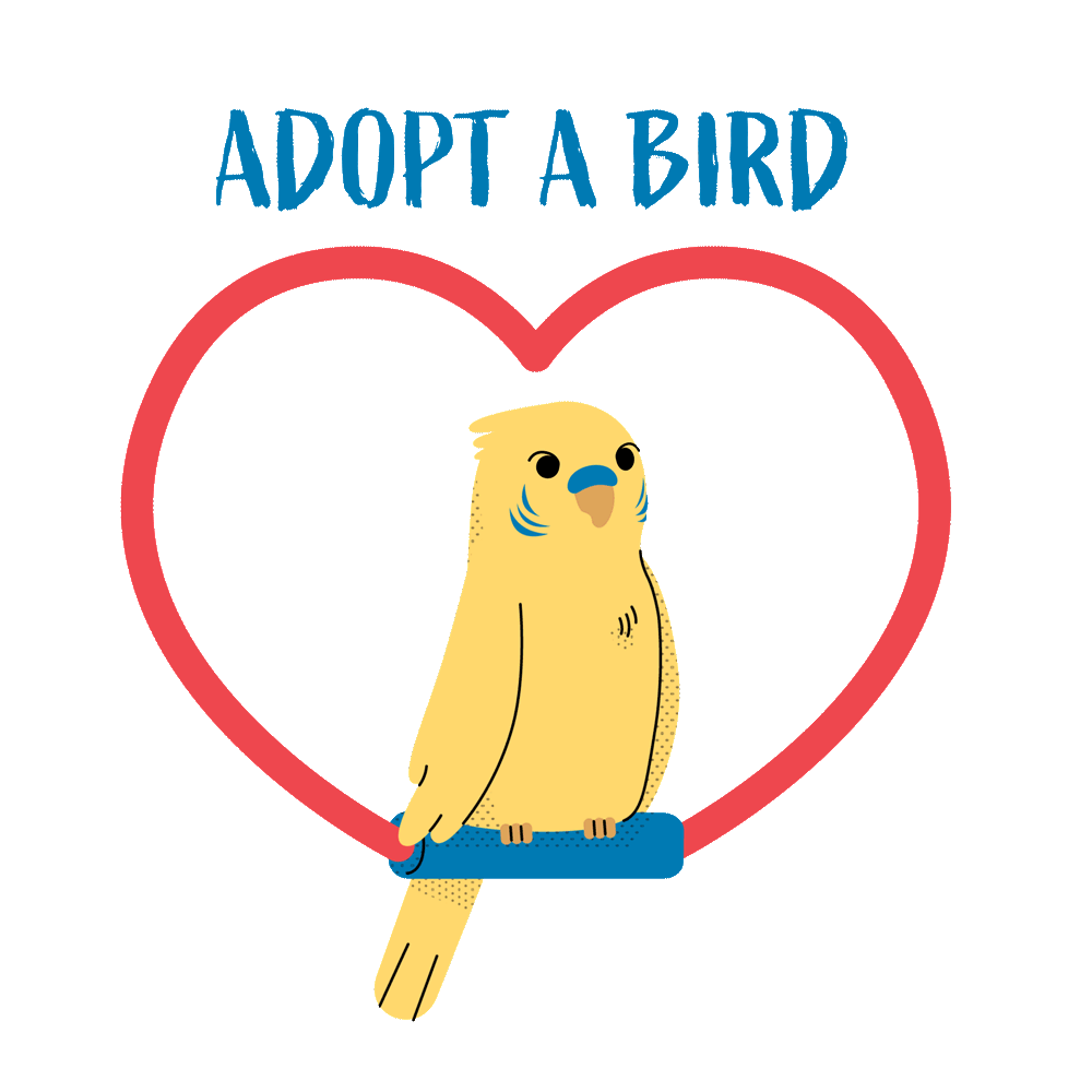 AdoptABird_Alpha.gif