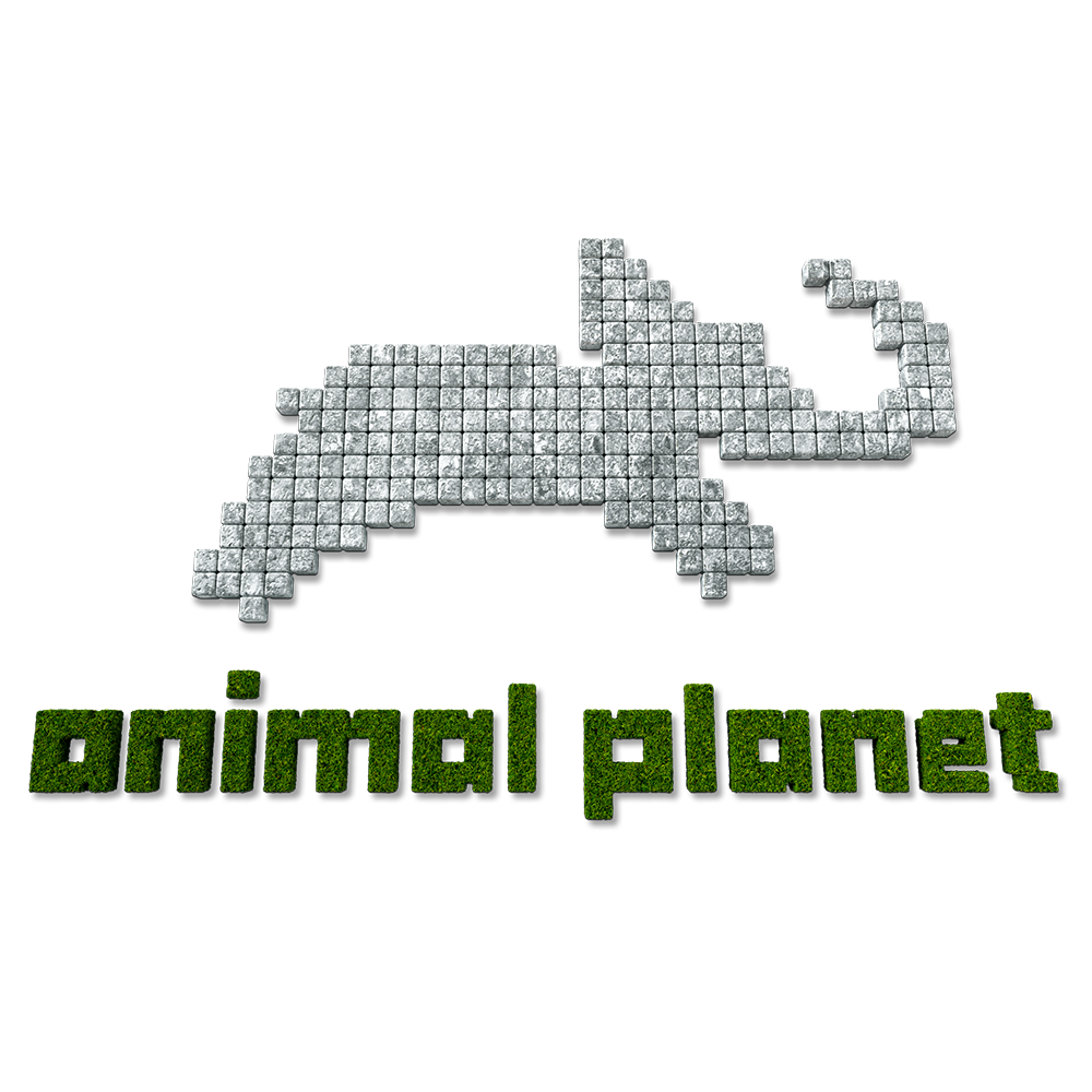 10-ANIMAL-PLANET.png